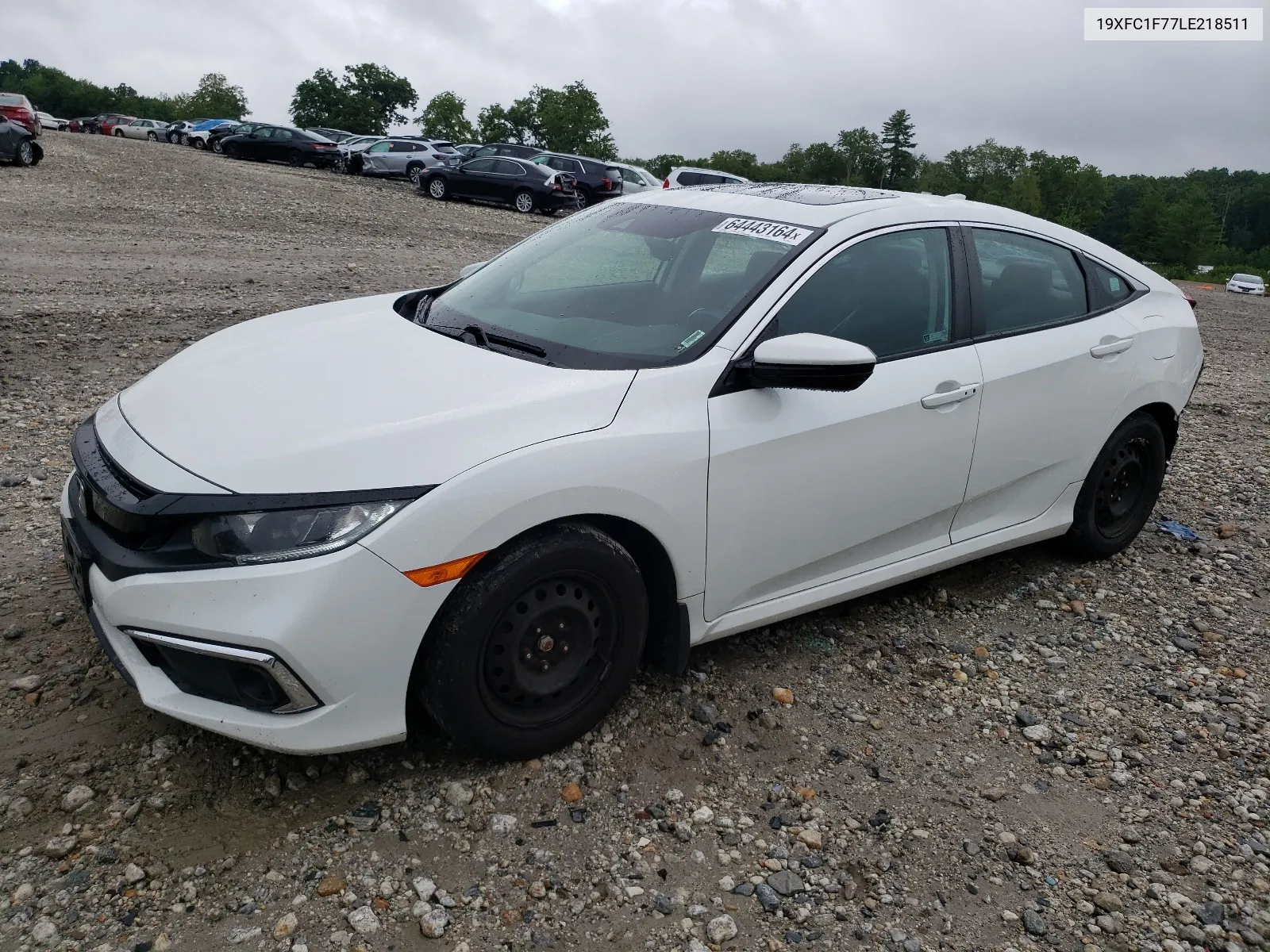 2020 Honda Civic Exl VIN: 19XFC1F77LE218511 Lot: 64443164