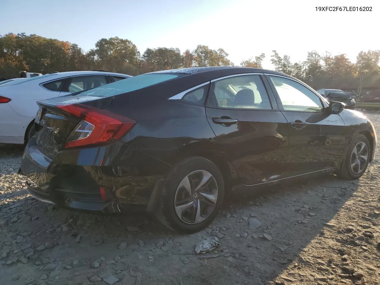 2020 Honda Civic Lx VIN: 19XFC2F67LE016202 Lot: 77419024