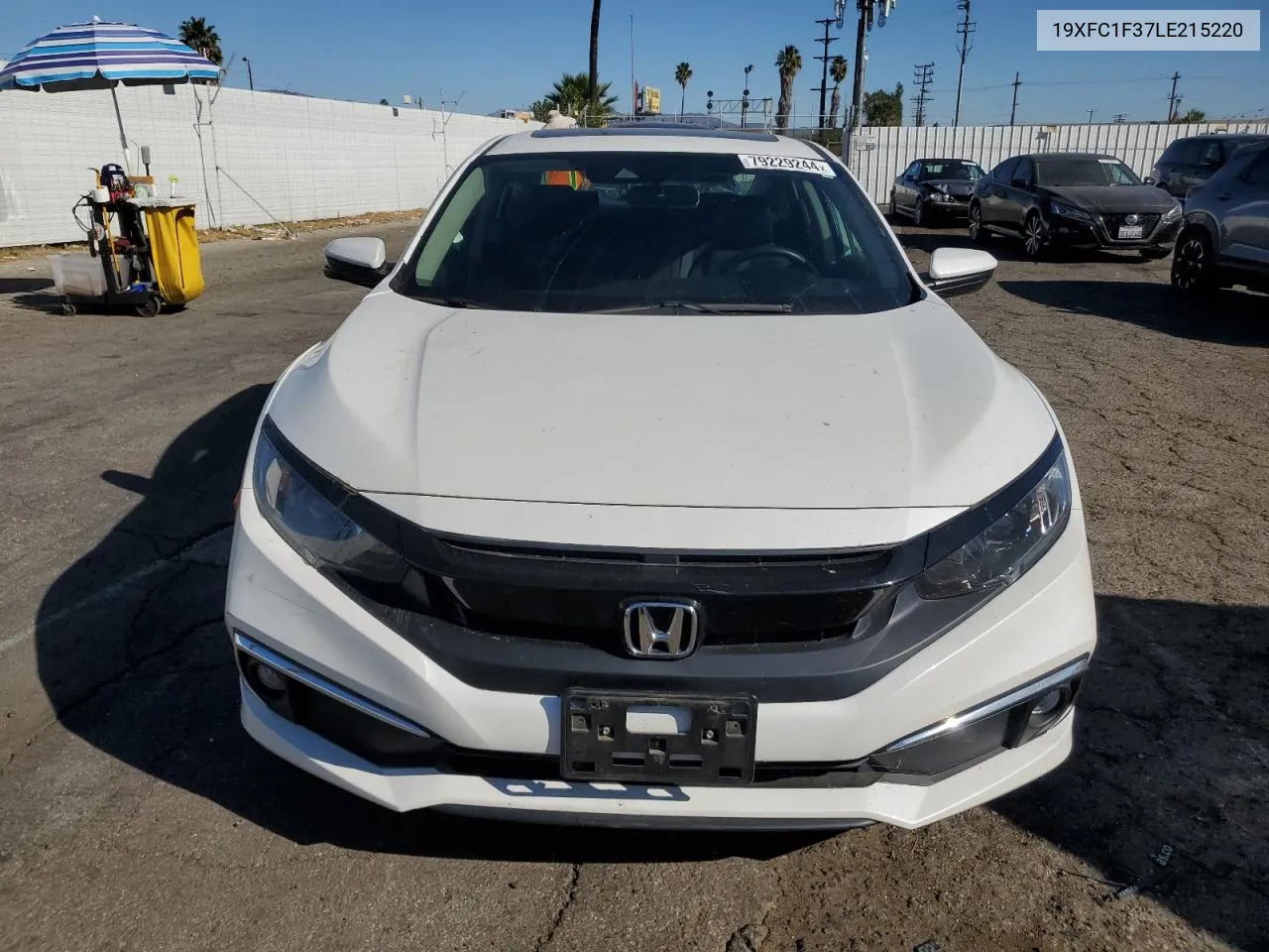 2020 Honda Civic Ex VIN: 19XFC1F37LE215220 Lot: 79229244