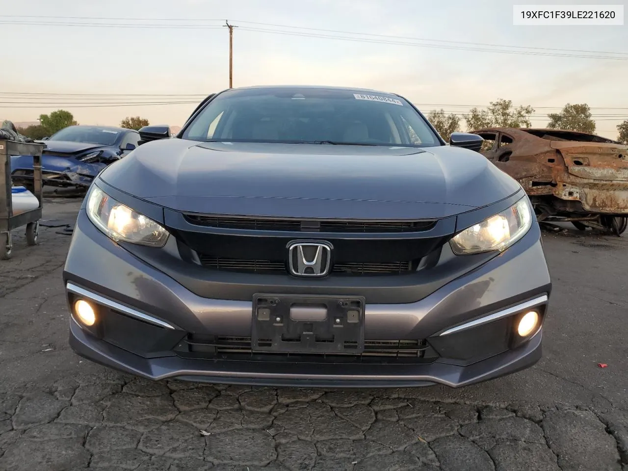 2020 Honda Civic Ex VIN: 19XFC1F39LE221620 Lot: 81640844