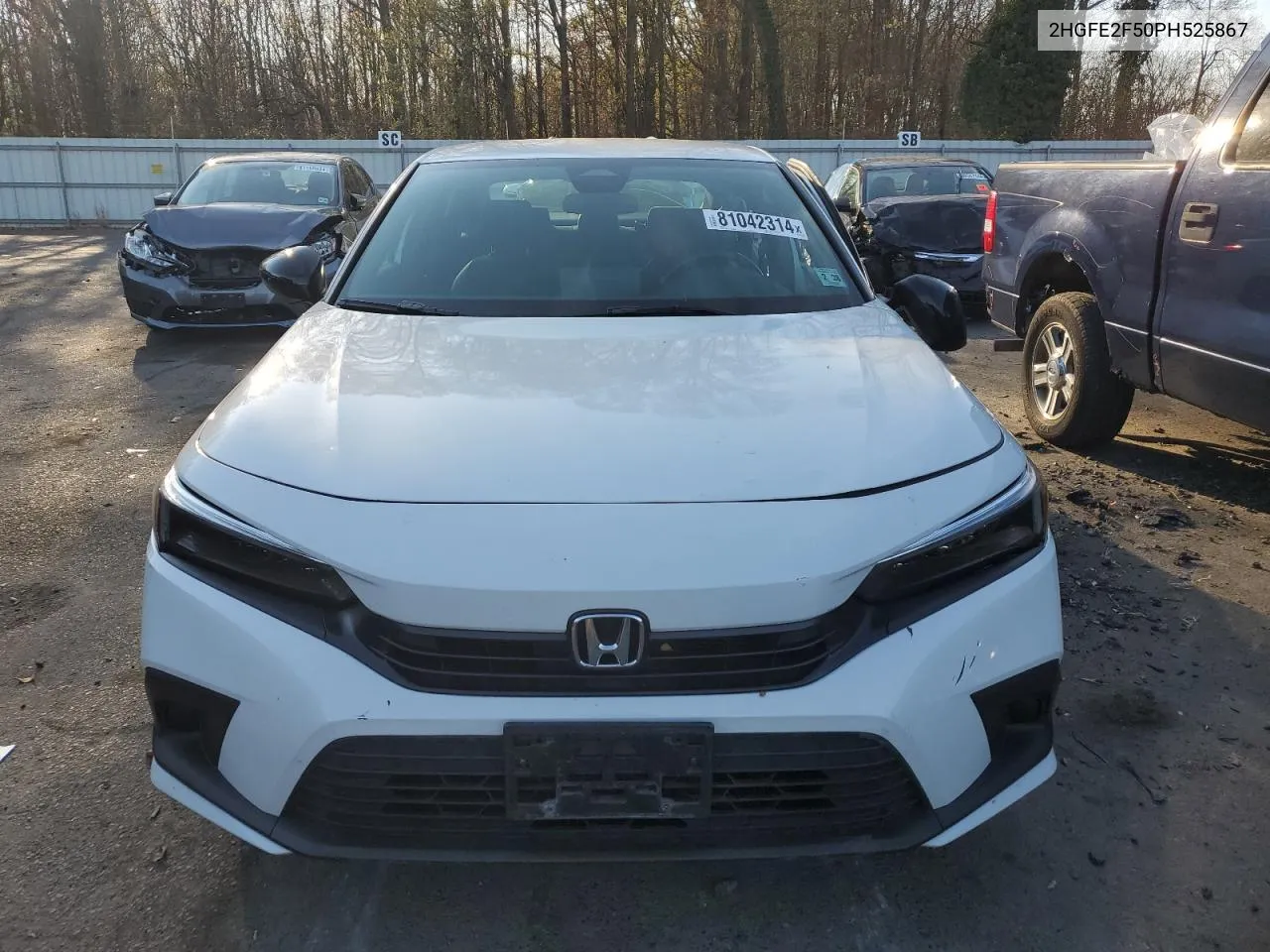 2023 Honda Civic Sport VIN: 2HGFE2F50PH525867 Lot: 81042314