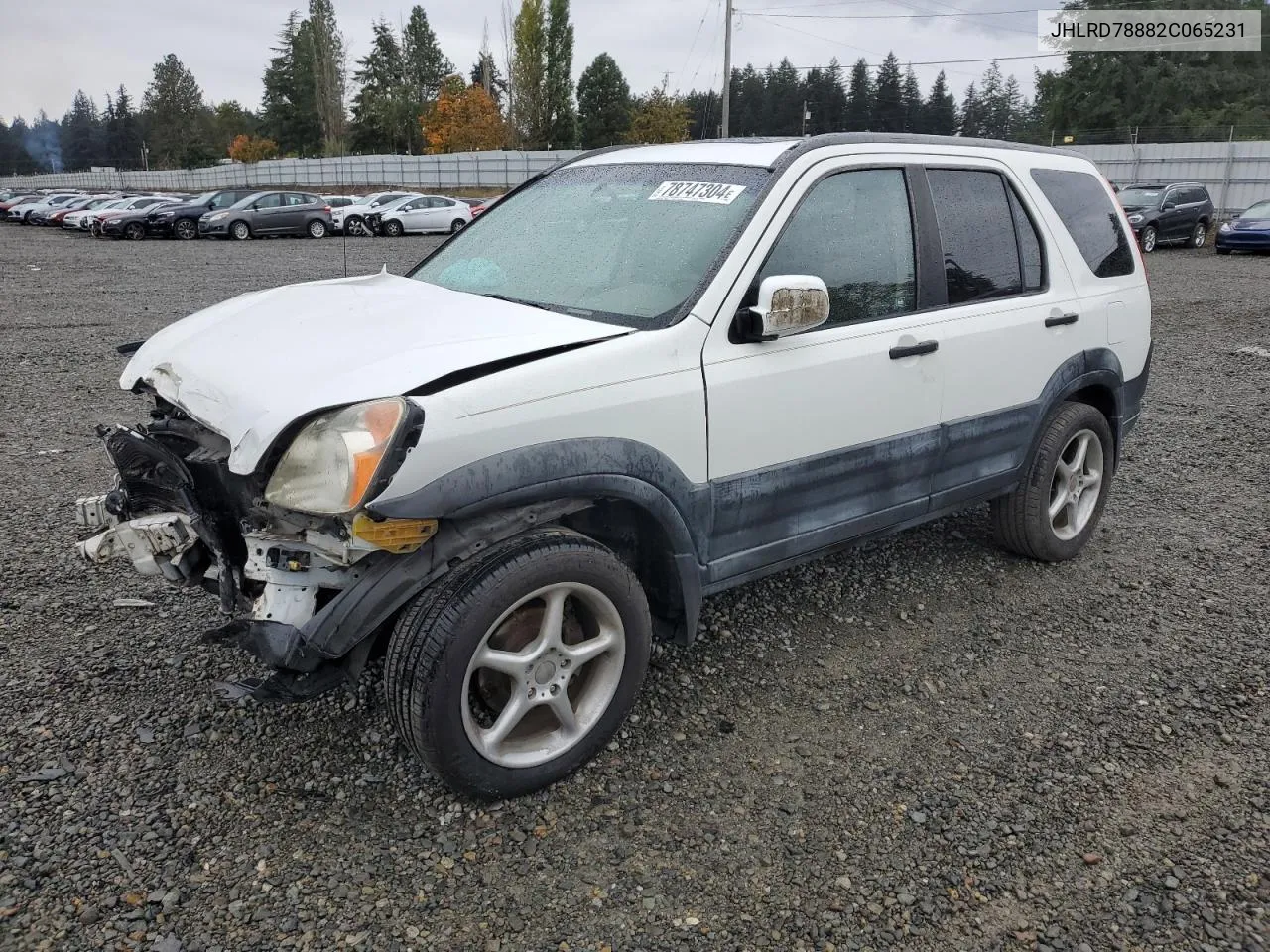 2002 Honda Cr-V Ex VIN: JHLRD78882C065231 Lot: 78747304