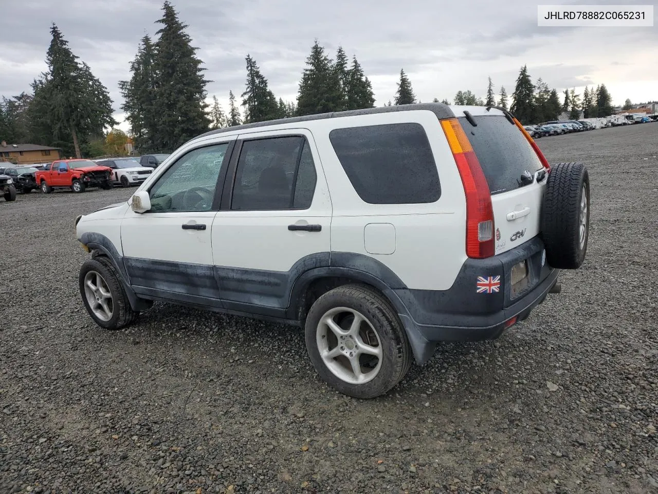 2002 Honda Cr-V Ex VIN: JHLRD78882C065231 Lot: 78747304