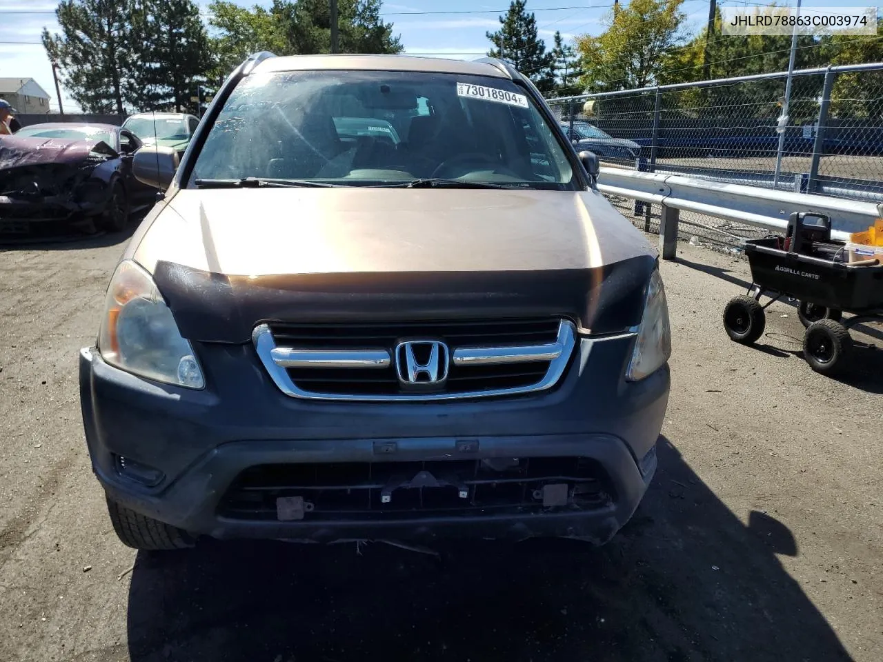 2003 Honda Cr-V Ex VIN: JHLRD78863C003974 Lot: 73018904