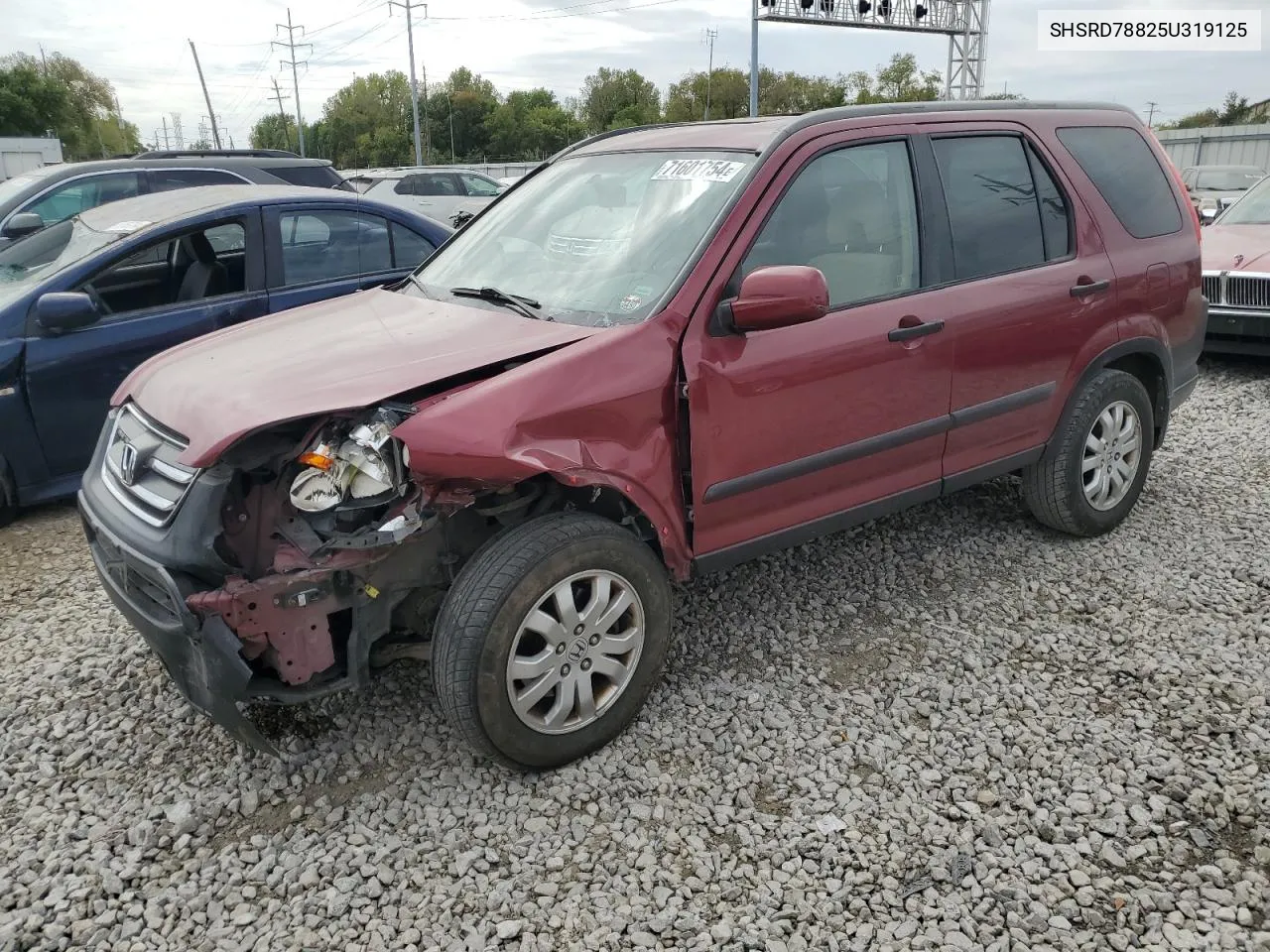 2005 Honda Cr-V Ex VIN: SHSRD78825U319125 Lot: 71601754