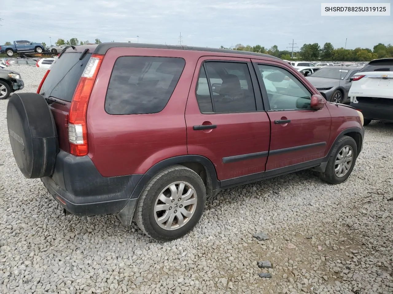 2005 Honda Cr-V Ex VIN: SHSRD78825U319125 Lot: 71601754