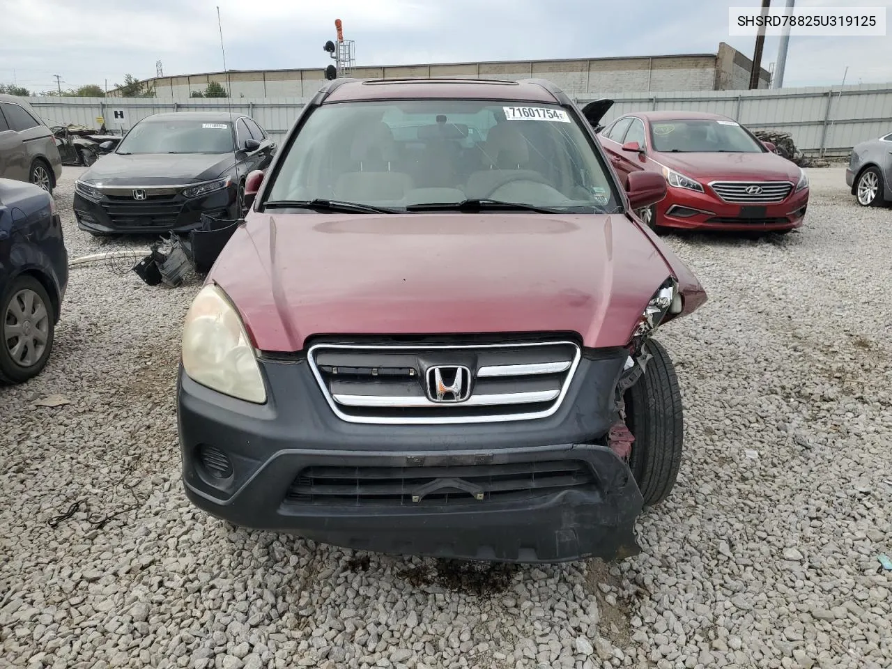 2005 Honda Cr-V Ex VIN: SHSRD78825U319125 Lot: 71601754