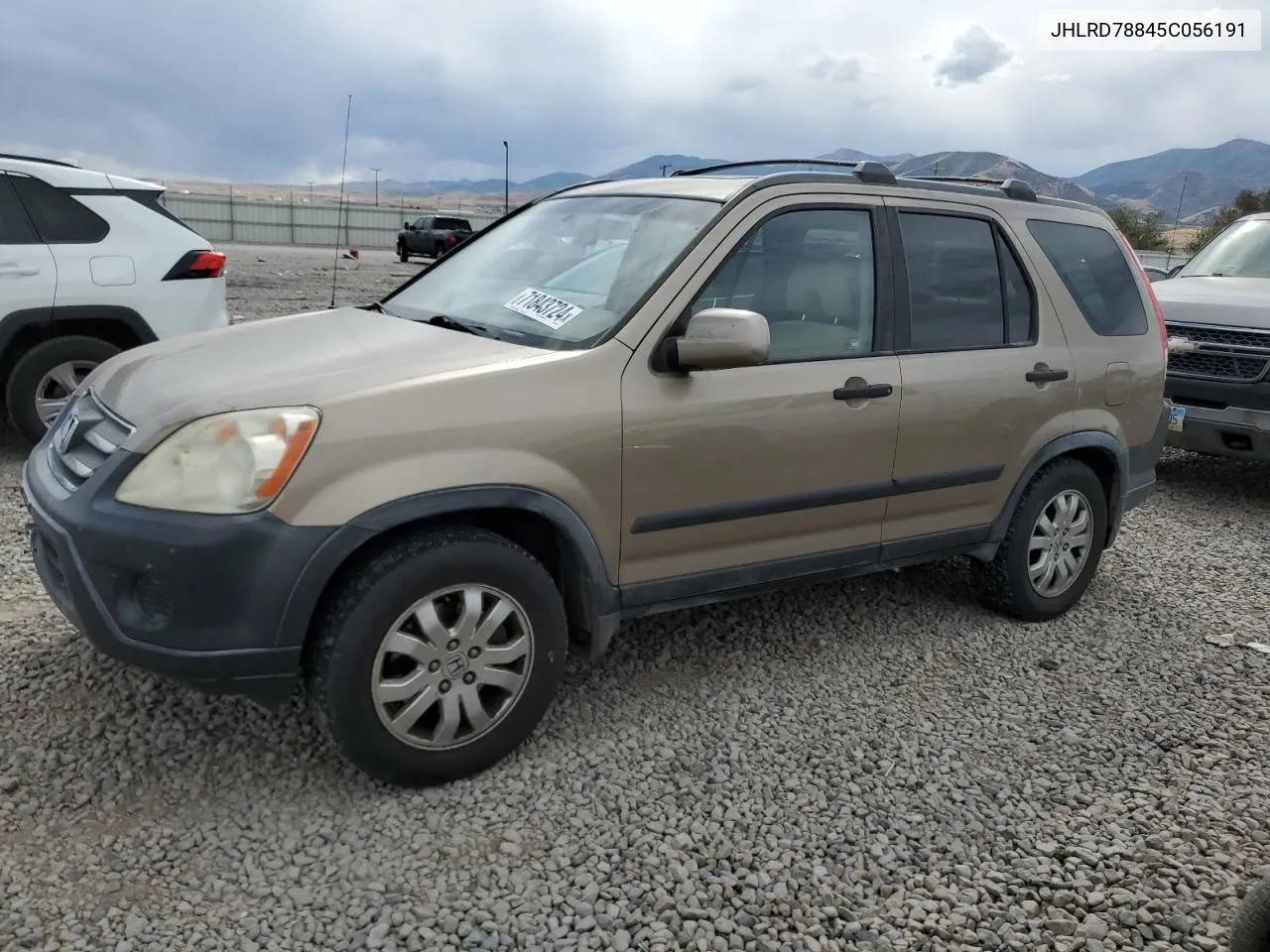 2005 Honda Cr-V Ex VIN: JHLRD78845C056191 Lot: 71843724