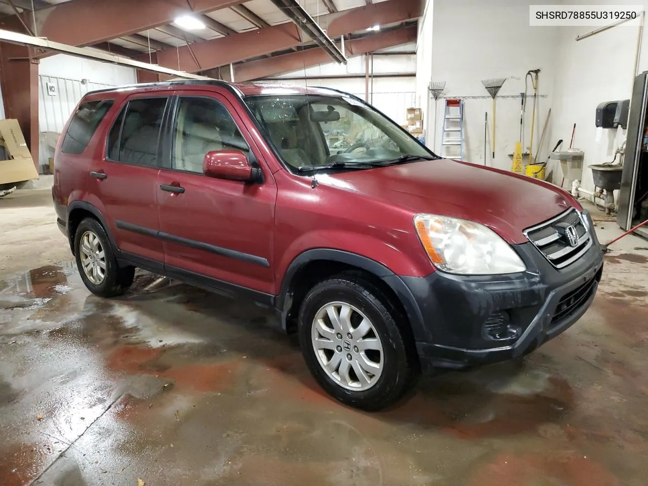 2005 Honda Cr-V Ex VIN: SHSRD78855U319250 Lot: 78011784