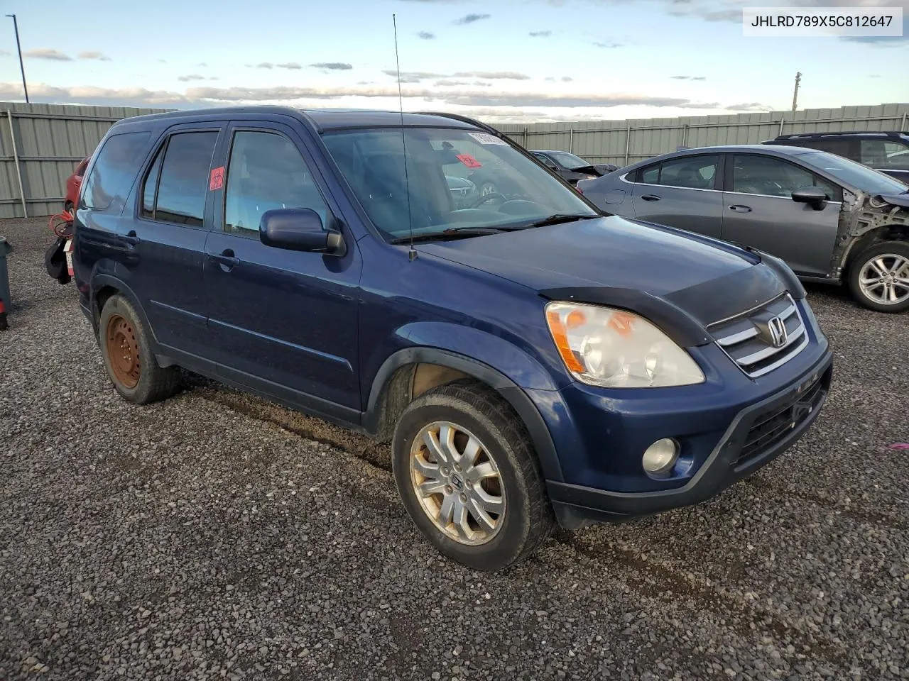 2005 Honda Cr-V Se VIN: JHLRD789X5C812647 Lot: 79008104