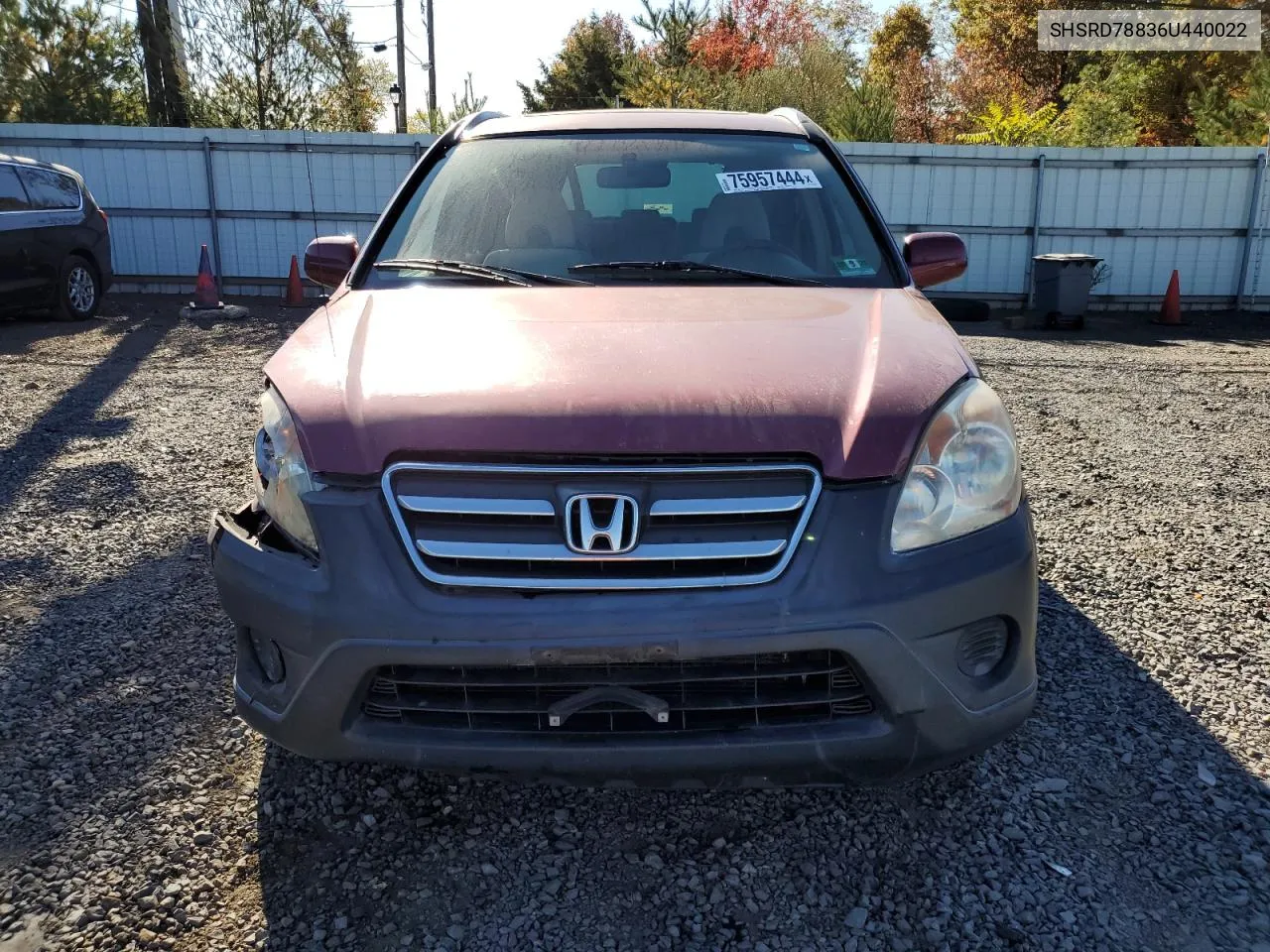 2006 Honda Cr-V Ex VIN: SHSRD78836U440022 Lot: 75957444