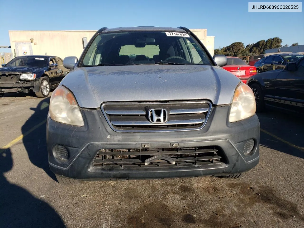 2006 Honda Cr-V Ex VIN: JHLRD68896C020525 Lot: 77182834