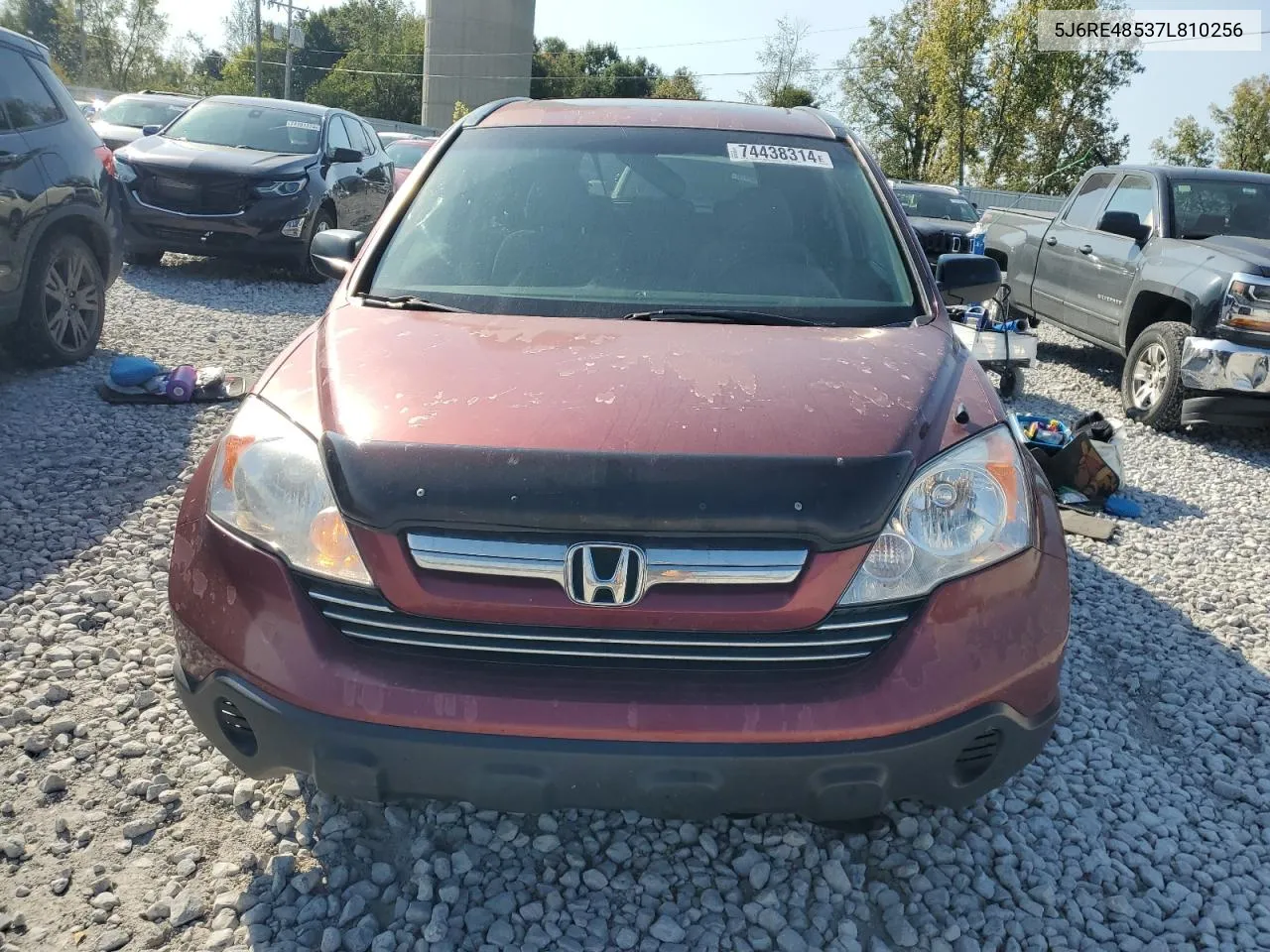 2007 Honda Cr-V Ex VIN: 5J6RE48537L810256 Lot: 74438314