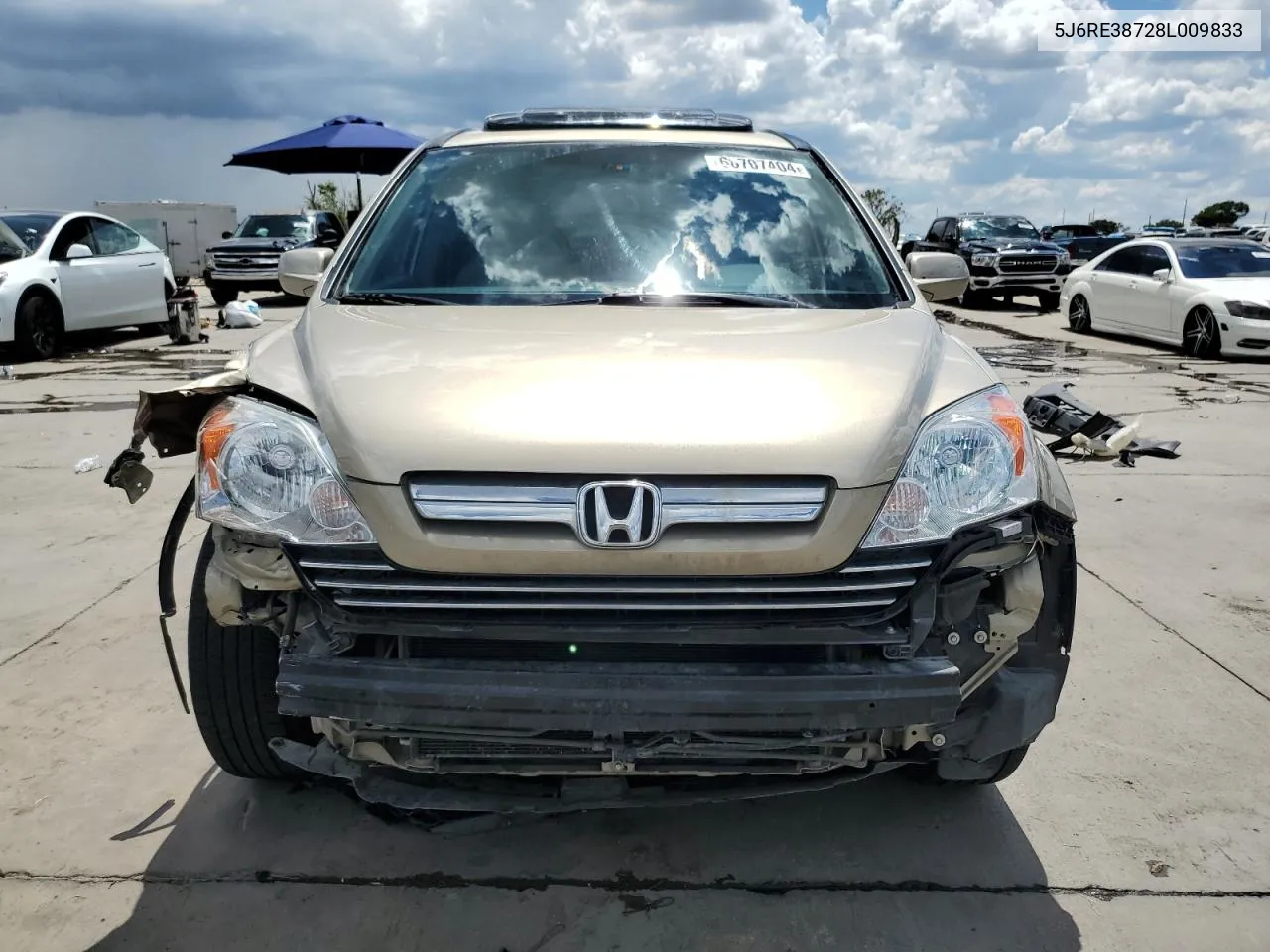 2008 Honda Cr-V Exl VIN: 5J6RE38728L009833 Lot: 68707404