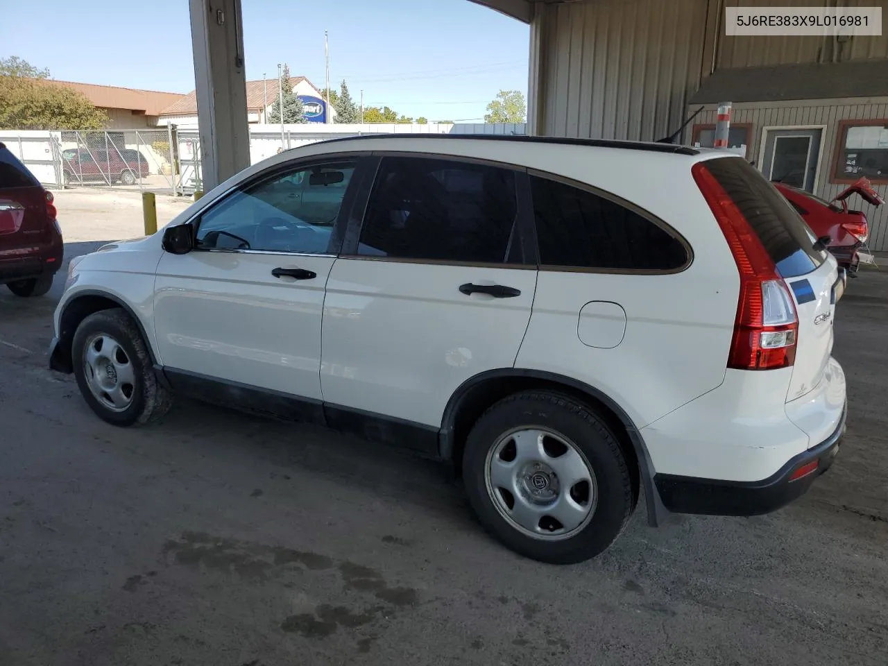 2009 Honda Cr-V Lx VIN: 5J6RE383X9L016981 Lot: 70655264