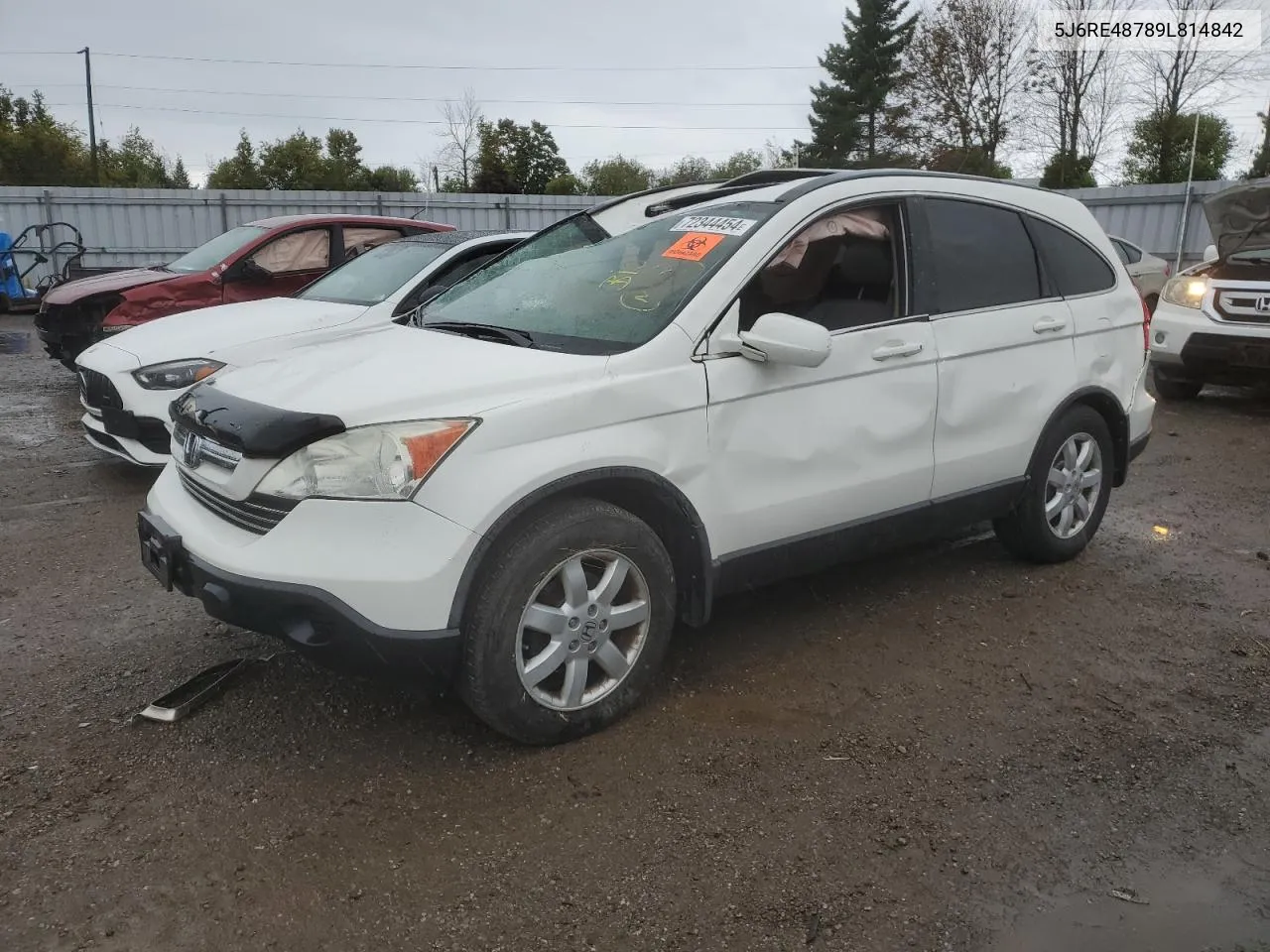 2009 Honda Cr-V Exl VIN: 5J6RE48789L814842 Lot: 72344454