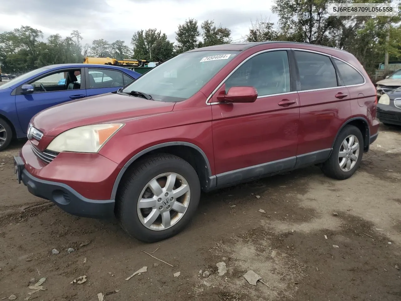 2009 Honda Cr-V Exl VIN: 5J6RE48709L056558 Lot: 74504084