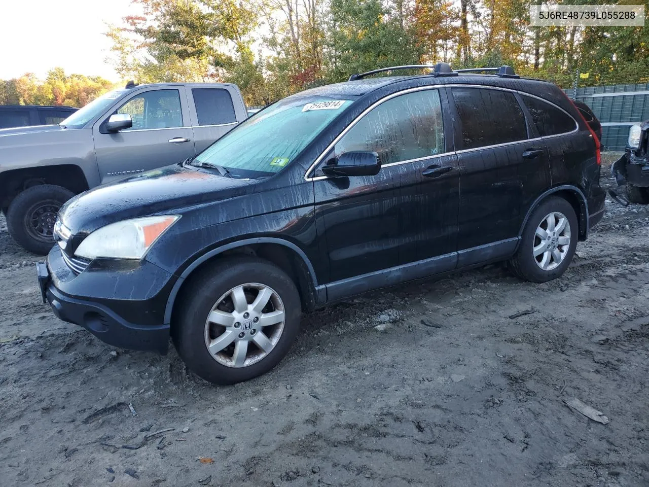 2009 Honda Cr-V Exl VIN: 5J6RE48739L055288 Lot: 75129814