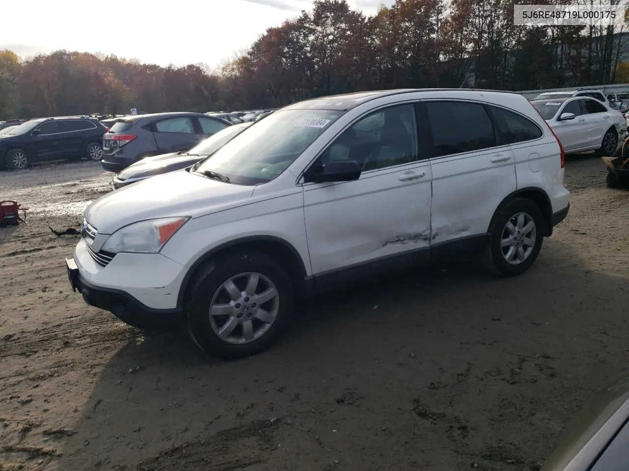 2009 Honda Cr-V Exl VIN: 5J6RE48719L000175 Lot: 77130384