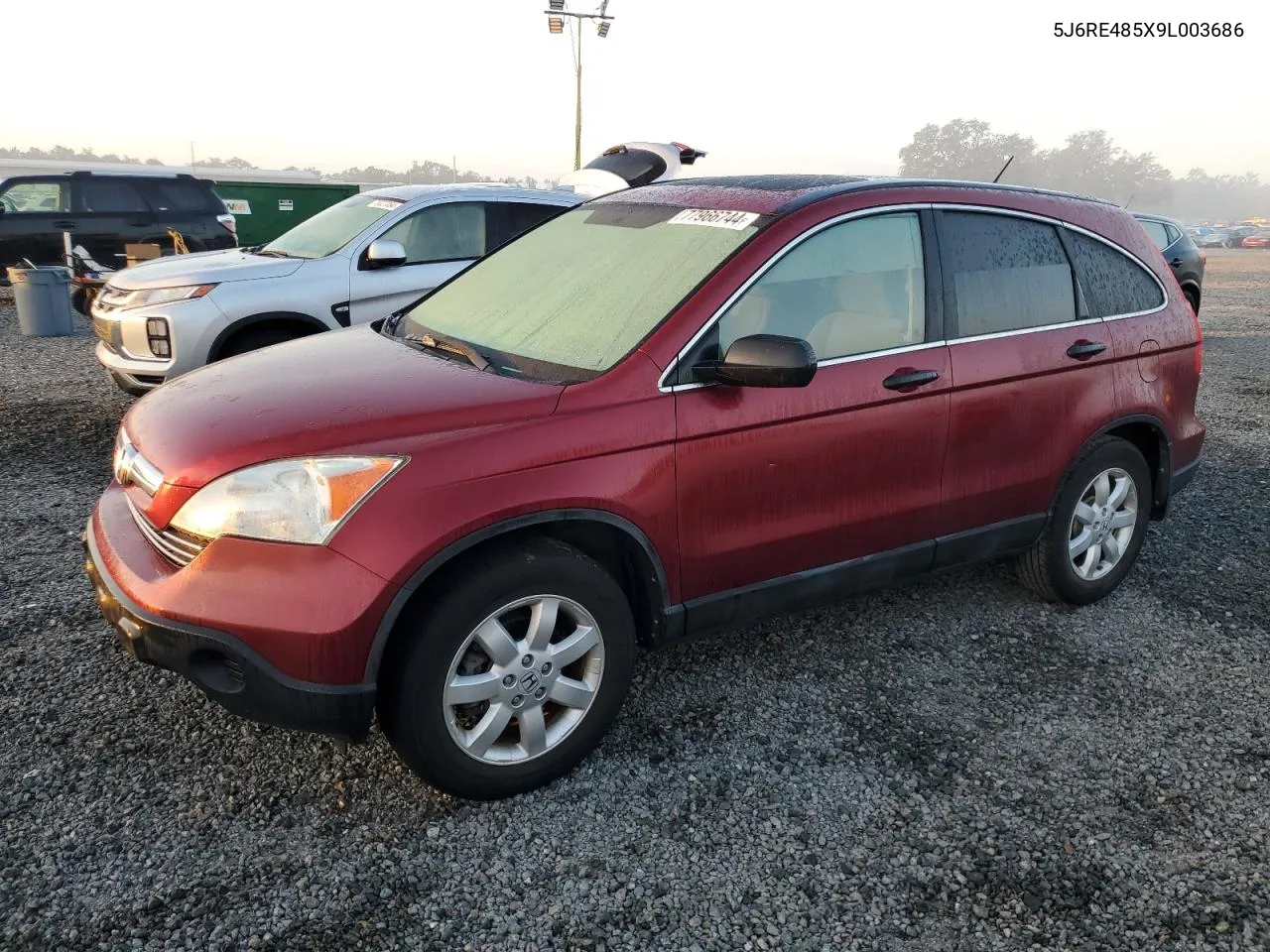 2009 Honda Cr-V Ex VIN: 5J6RE485X9L003686 Lot: 77966744