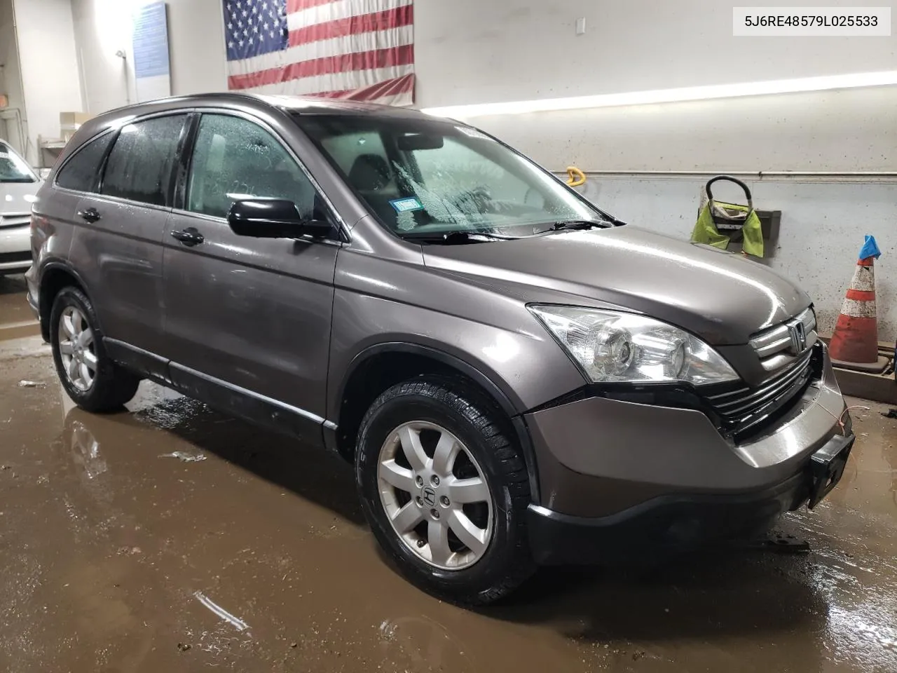 2009 Honda Cr-V Ex VIN: 5J6RE48579L025533 Lot: 80766383