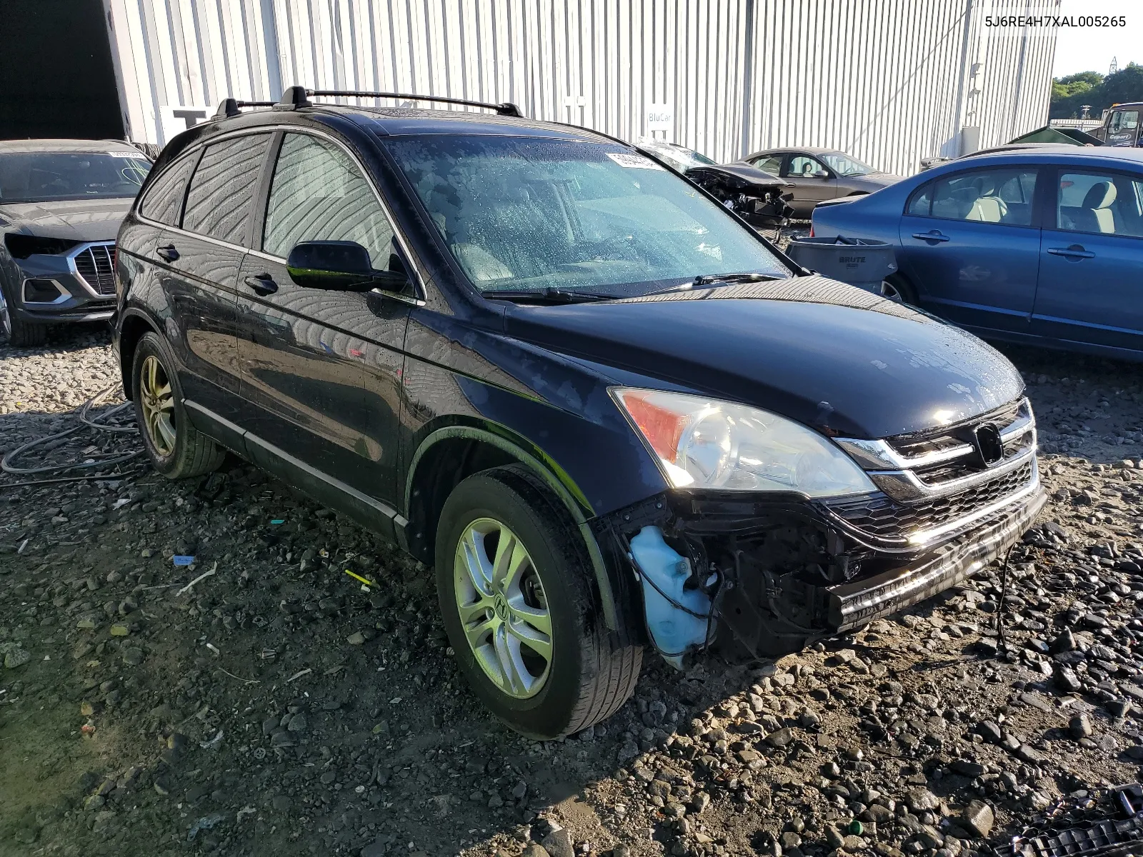 2010 Honda Cr-V Exl VIN: 5J6RE4H7XAL005265 Lot: 59944254