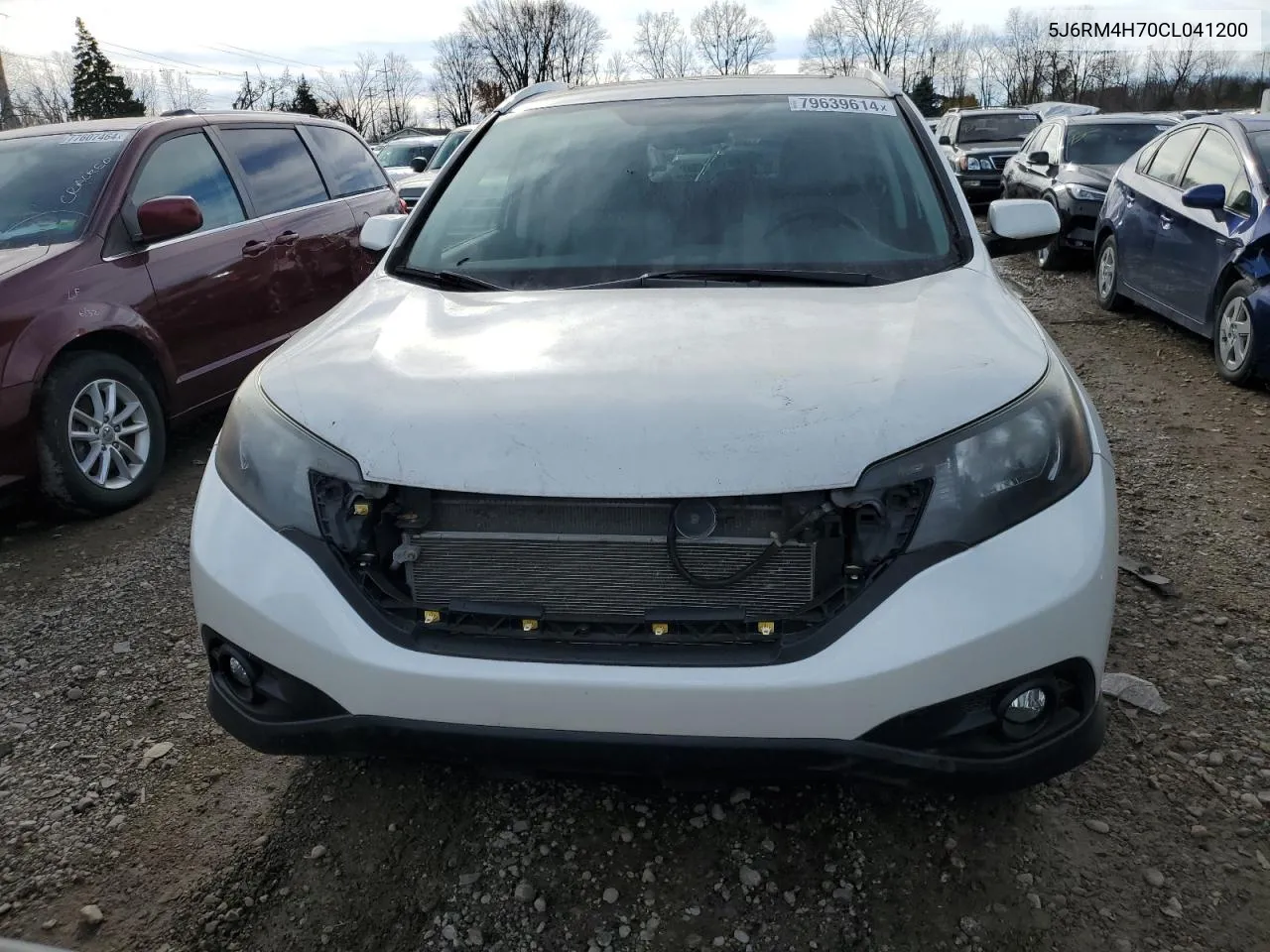 2012 Honda Cr-V Exl VIN: 5J6RM4H70CL041200 Lot: 79639614