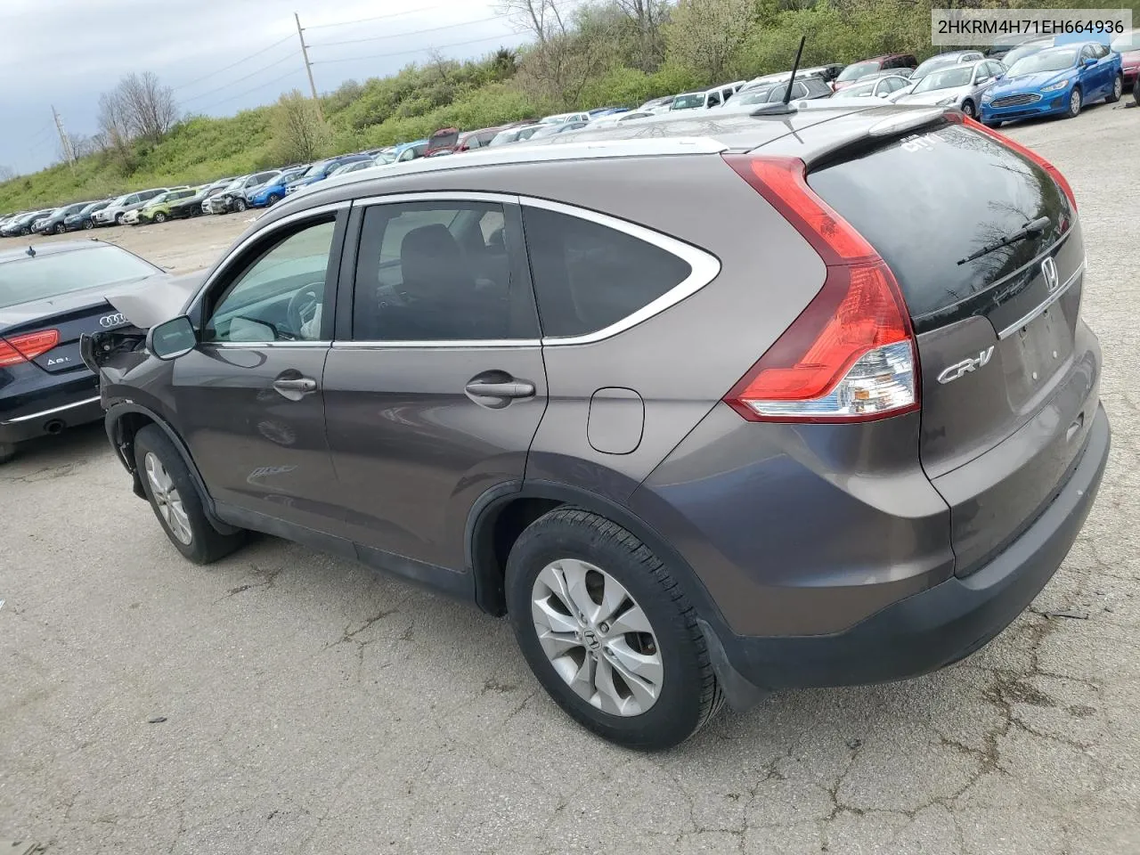 2014 Honda Cr-V Exl VIN: 2HKRM4H71EH664936 Lot: 47858924