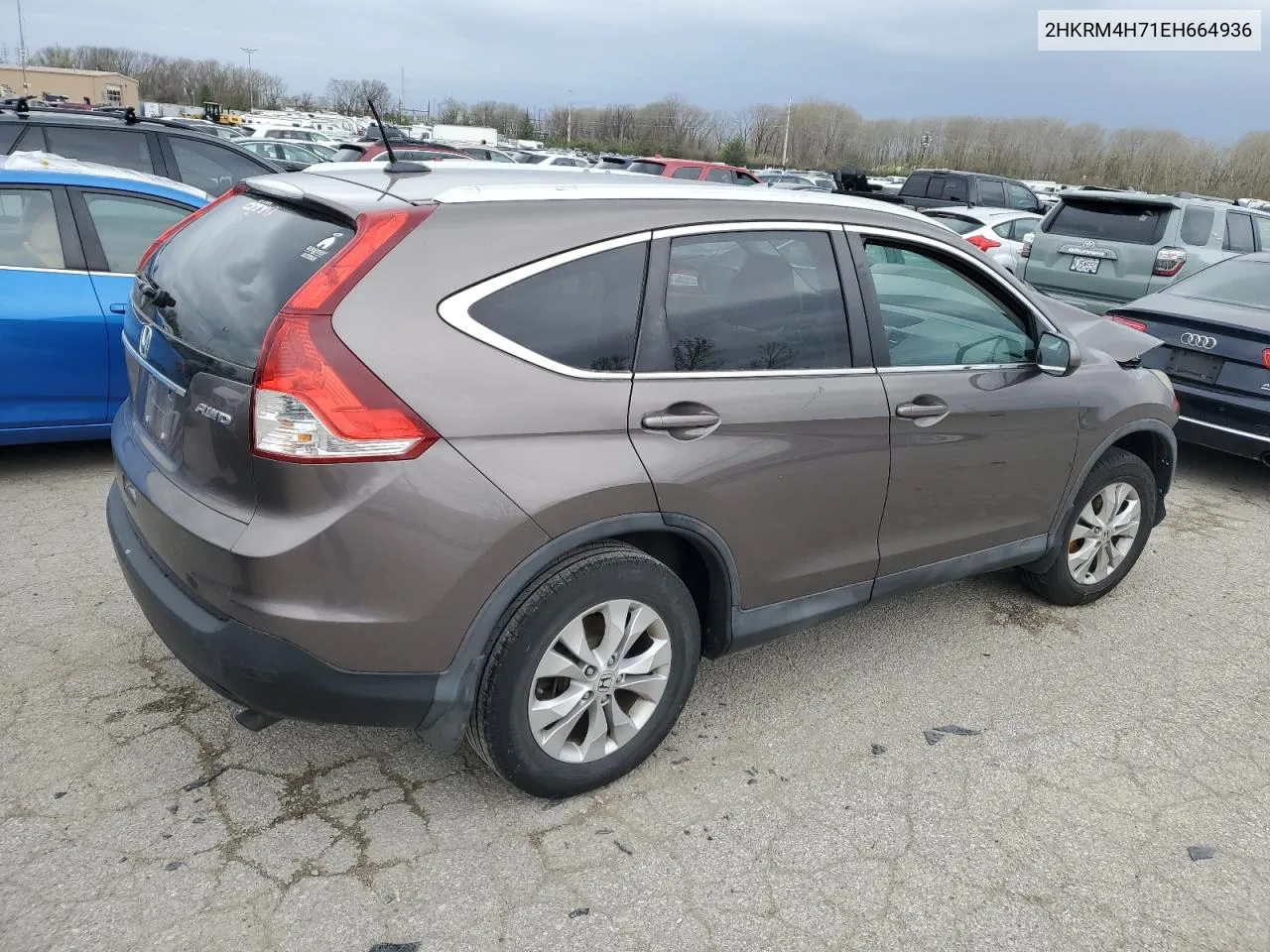 2014 Honda Cr-V Exl VIN: 2HKRM4H71EH664936 Lot: 47858924