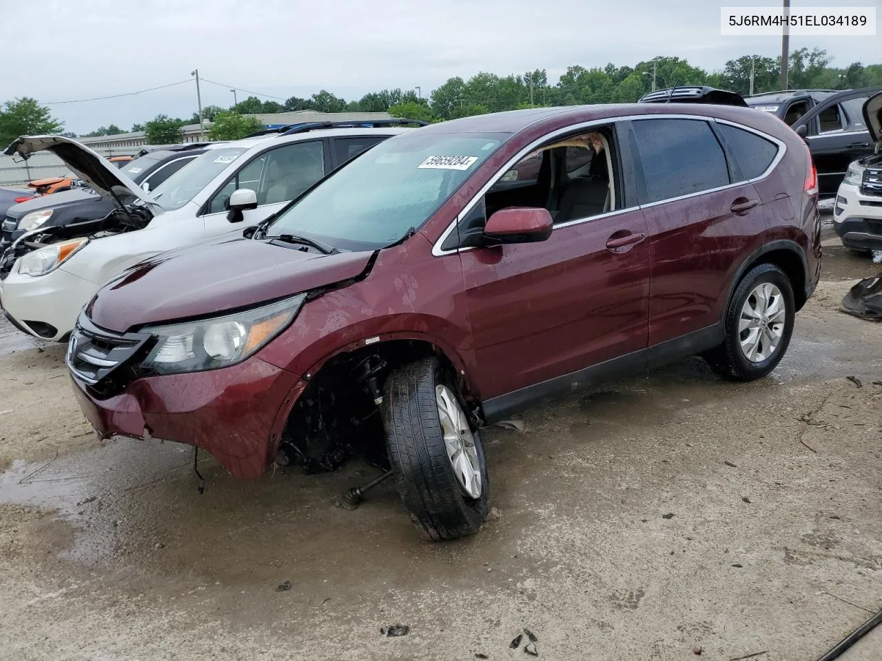 2014 Honda Cr-V Ex VIN: 5J6RM4H51EL034189 Lot: 59659284