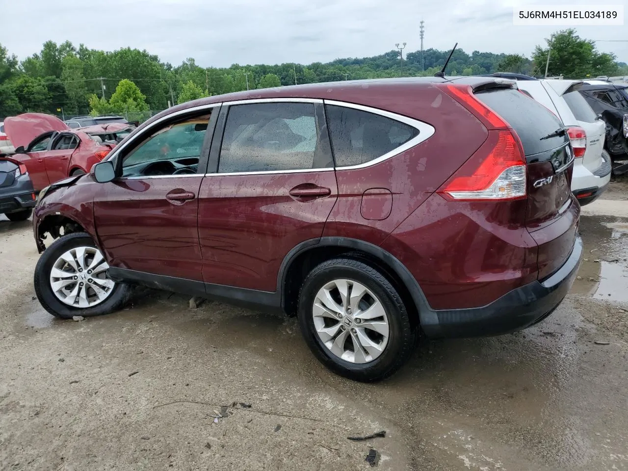 2014 Honda Cr-V Ex VIN: 5J6RM4H51EL034189 Lot: 59659284