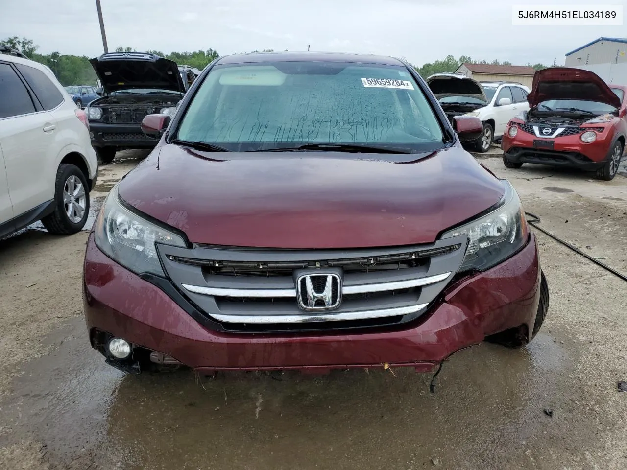 2014 Honda Cr-V Ex VIN: 5J6RM4H51EL034189 Lot: 59659284