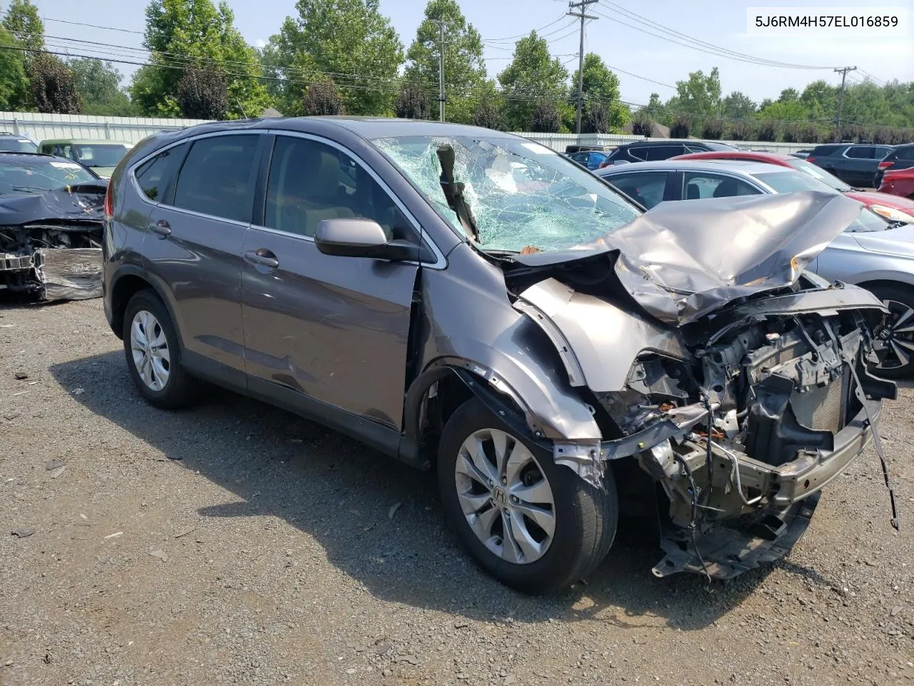 2014 Honda Cr-V Ex VIN: 5J6RM4H57EL016859 Lot: 61416744