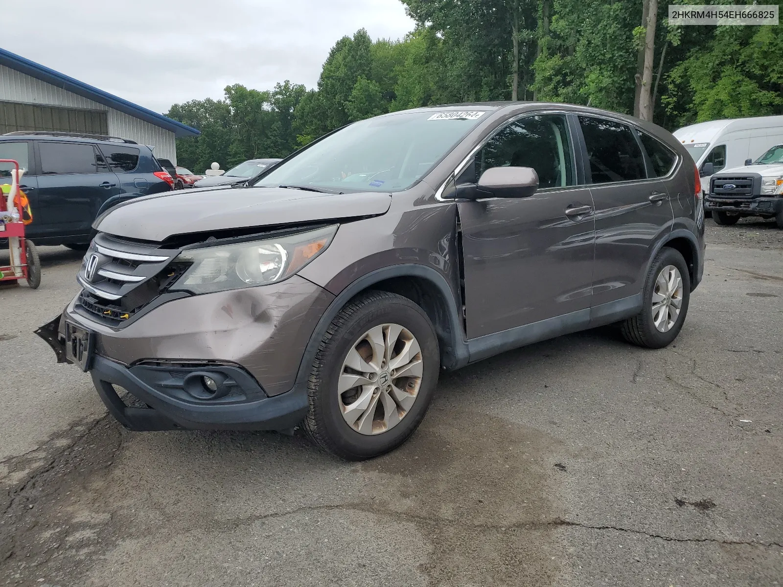 2014 Honda Cr-V Ex VIN: 2HKRM4H54EH666825 Lot: 65804264