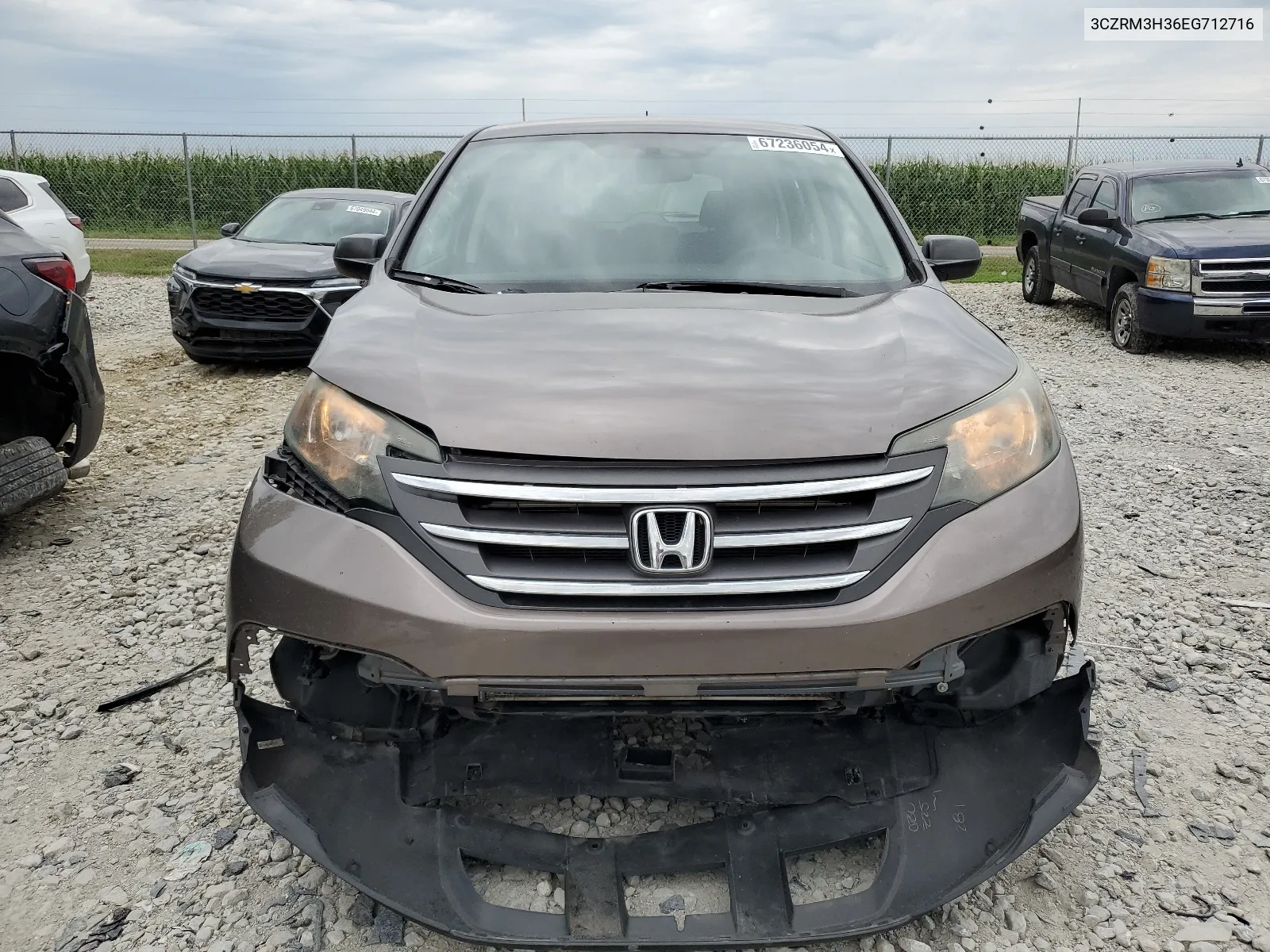 2014 Honda Cr-V Lx VIN: 3CZRM3H36EG712716 Lot: 67236054