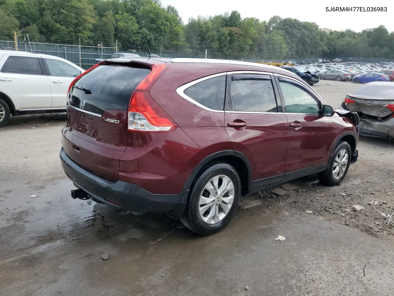 5J6RM4H77EL036983 2014 Honda Cr-V Exl