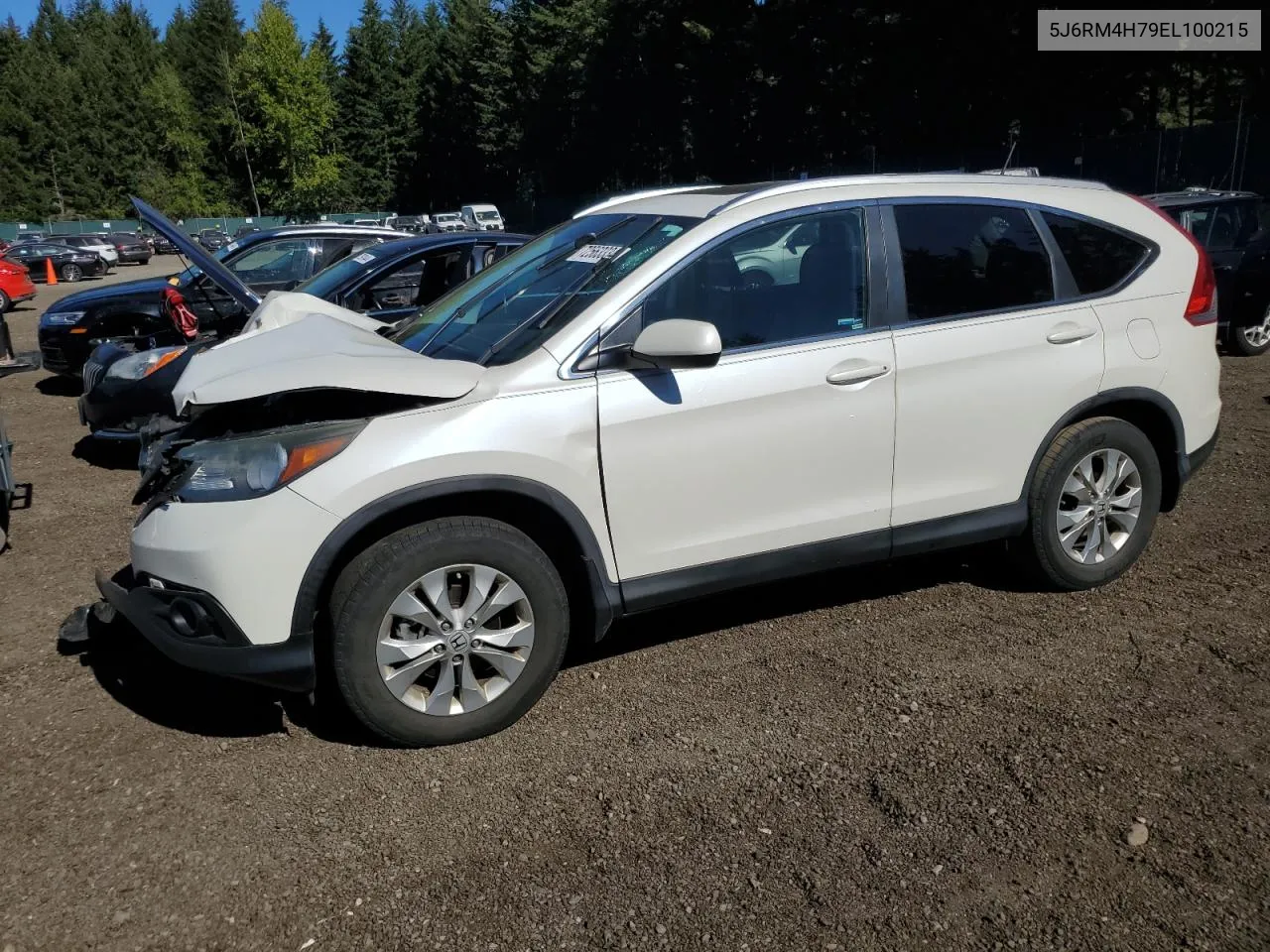 2014 Honda Cr-V Exl VIN: 5J6RM4H79EL100215 Lot: 72563334