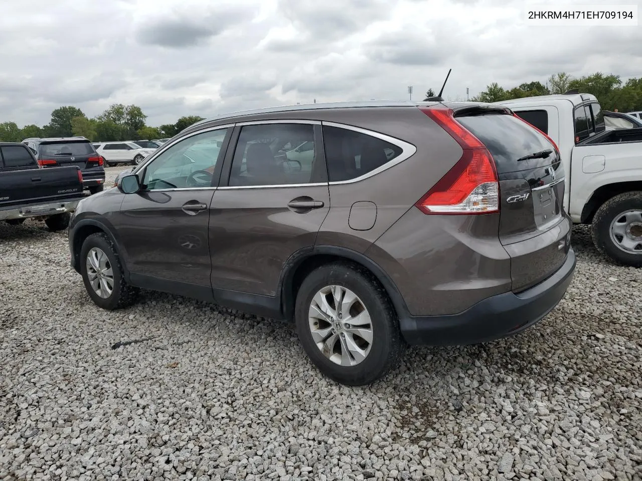 2014 Honda Cr-V Exl VIN: 2HKRM4H71EH709194 Lot: 73420754