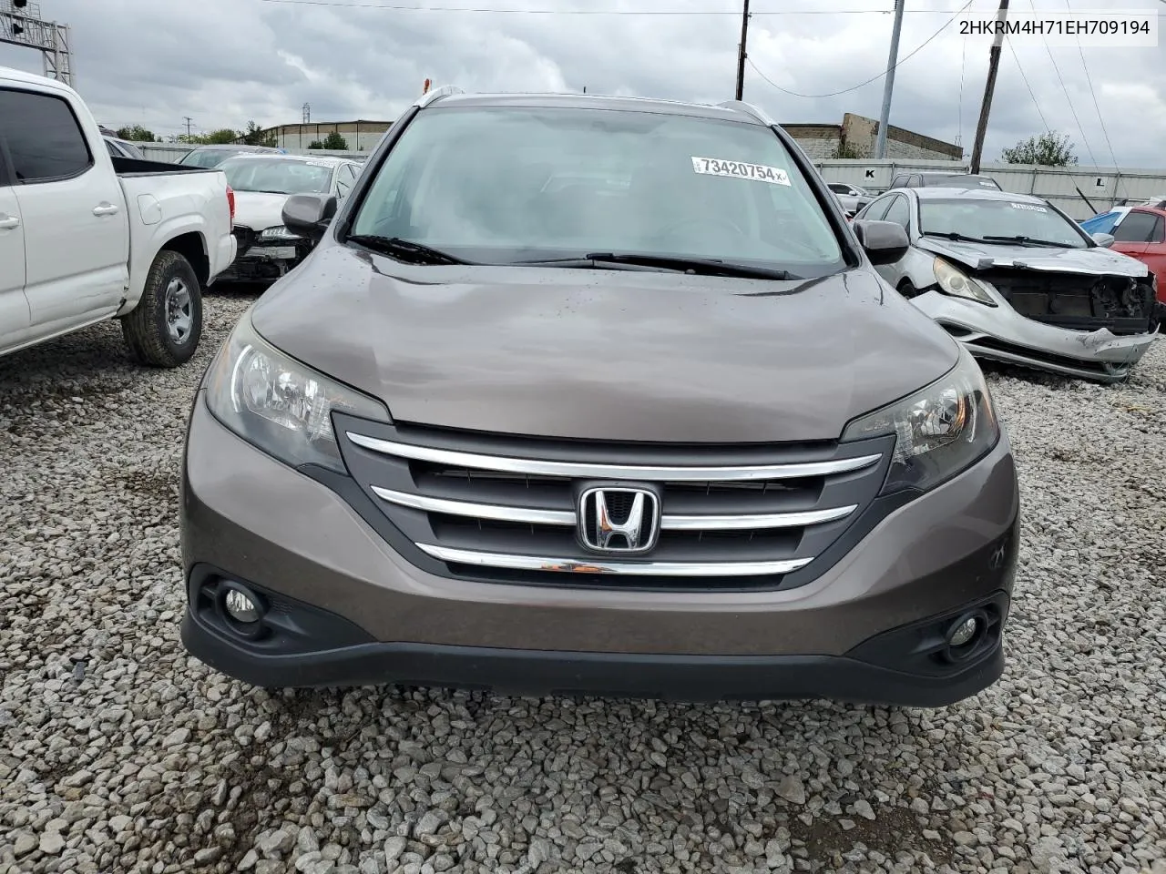 2014 Honda Cr-V Exl VIN: 2HKRM4H71EH709194 Lot: 73420754