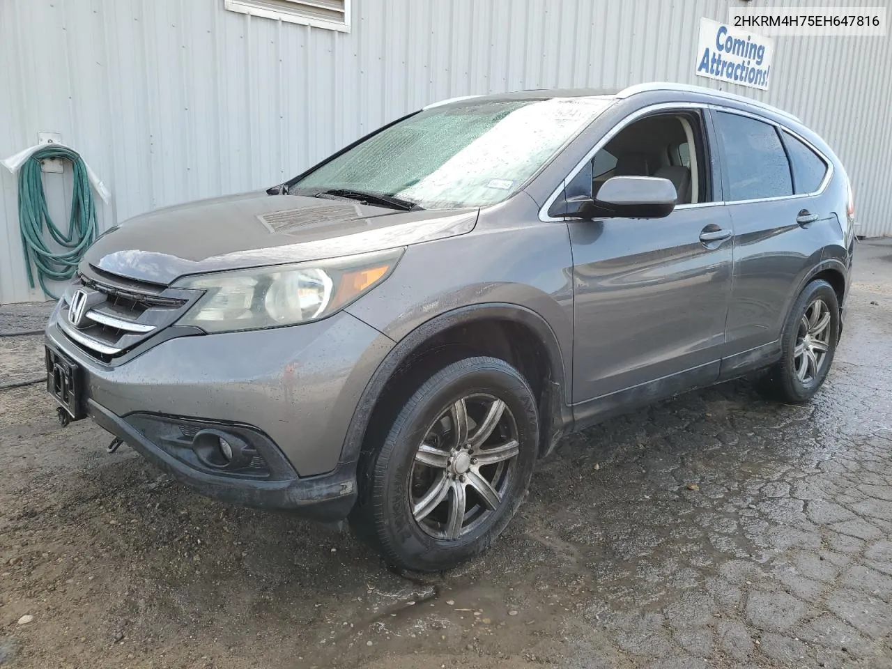 2014 Honda Cr-V Exl VIN: 2HKRM4H75EH647816 Lot: 77547924