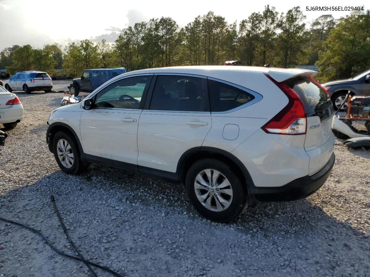 2014 Honda Cr-V Ex VIN: 5J6RM3H56EL029404 Lot: 79523554