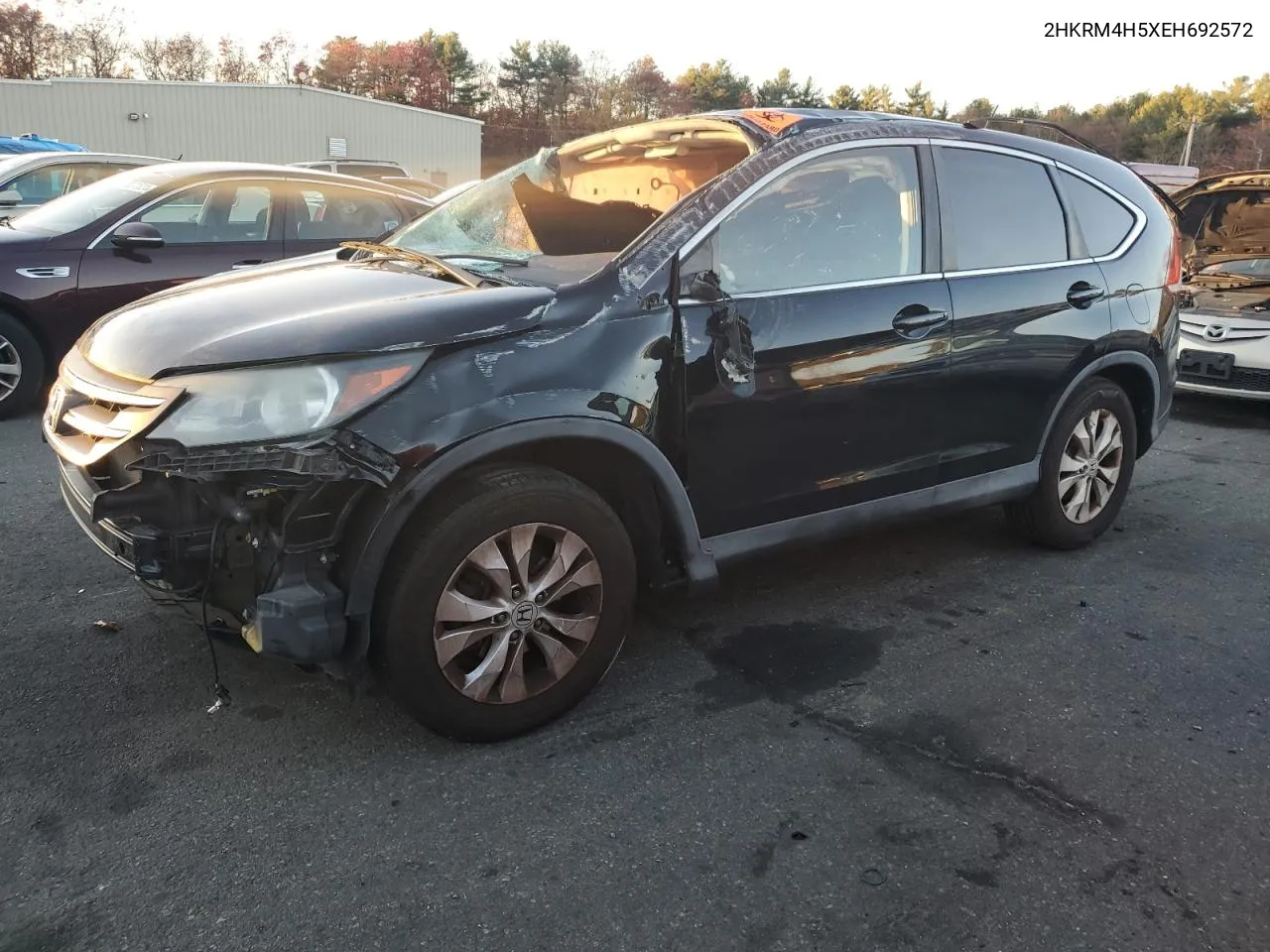 2014 Honda Cr-V Ex VIN: 2HKRM4H5XEH692572 Lot: 79758494