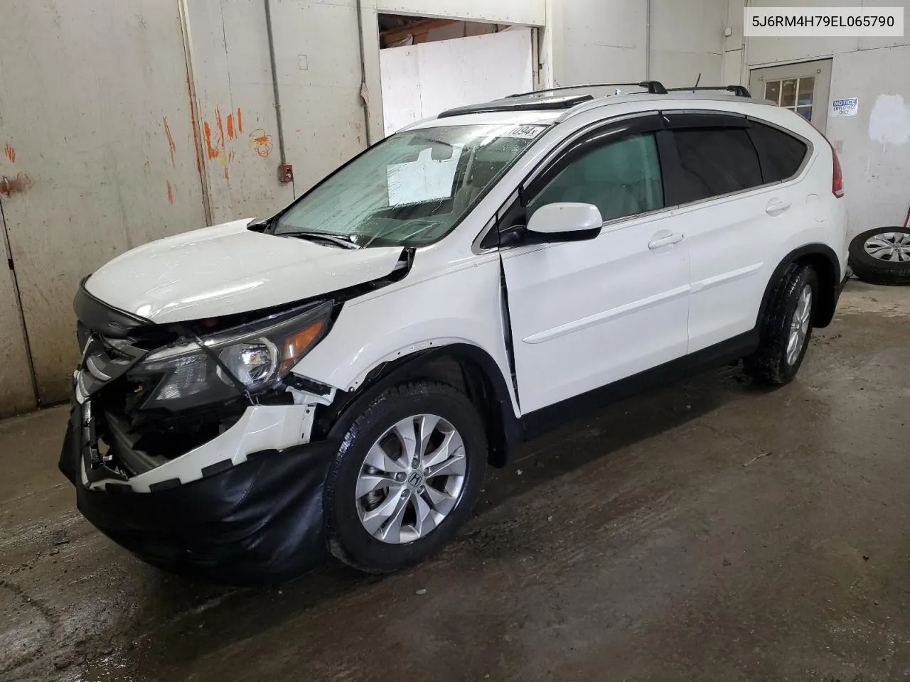 2014 Honda Cr-V Exl VIN: 5J6RM4H79EL065790 Lot: 80841094