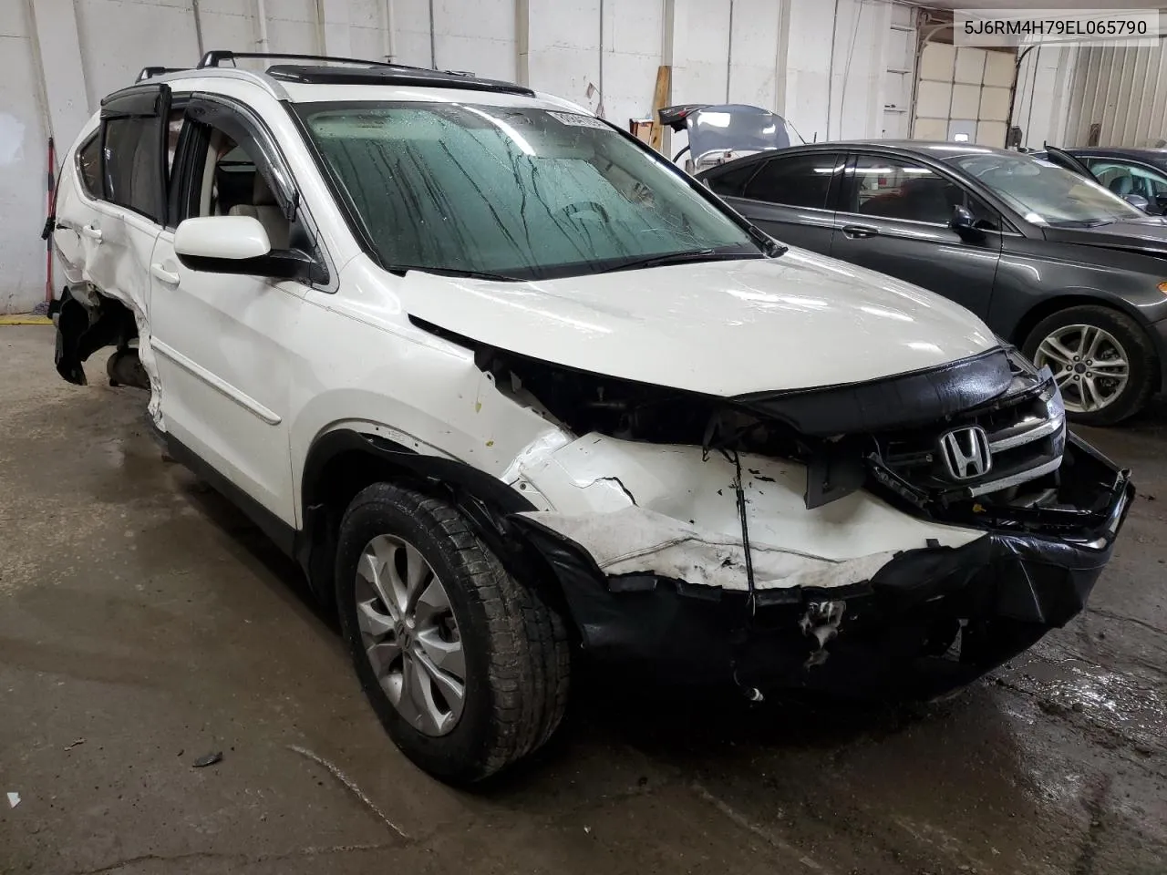 2014 Honda Cr-V Exl VIN: 5J6RM4H79EL065790 Lot: 80841094