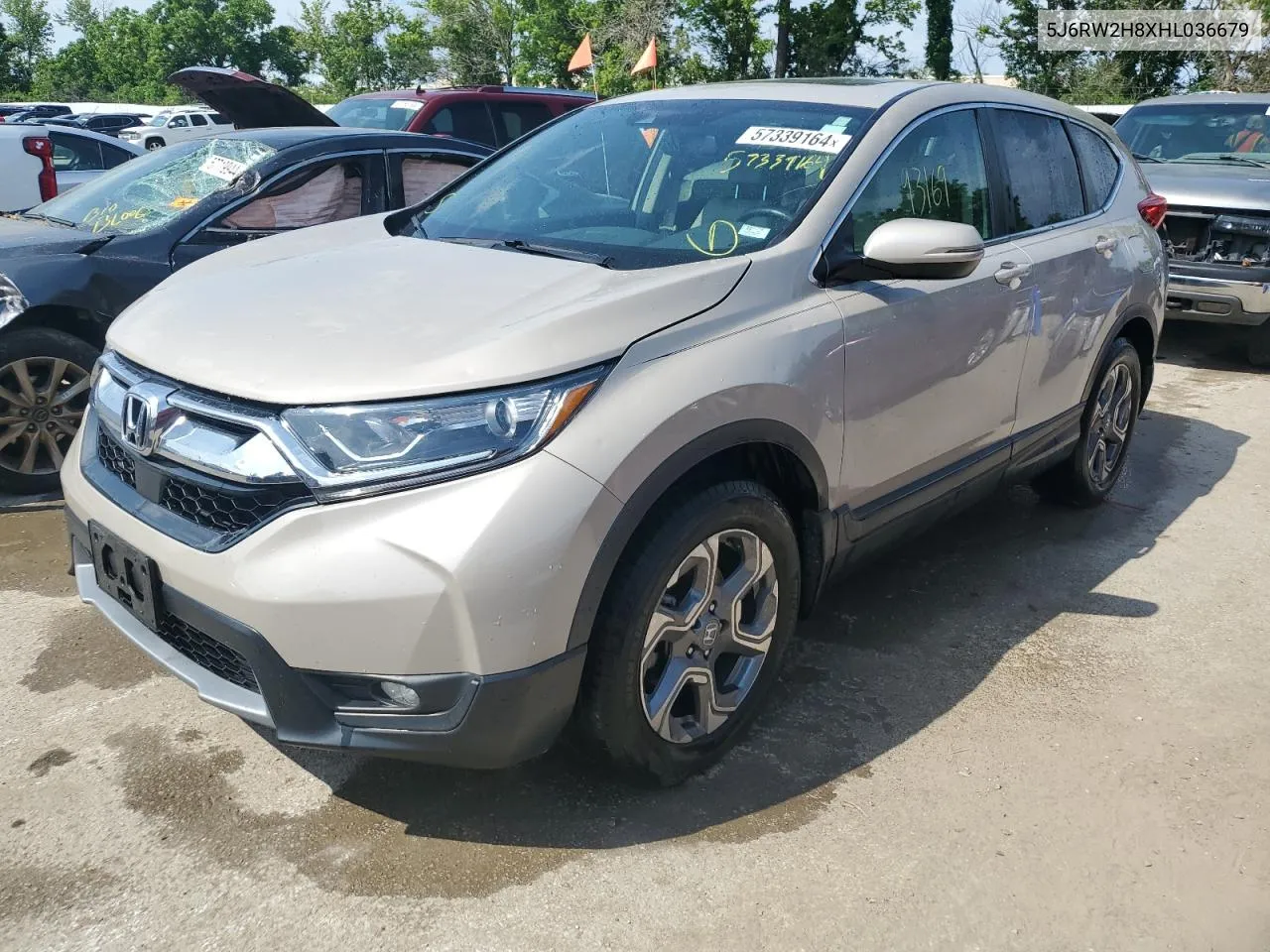 2017 Honda Cr-V Exl VIN: 5J6RW2H8XHL036679 Lot: 57339164