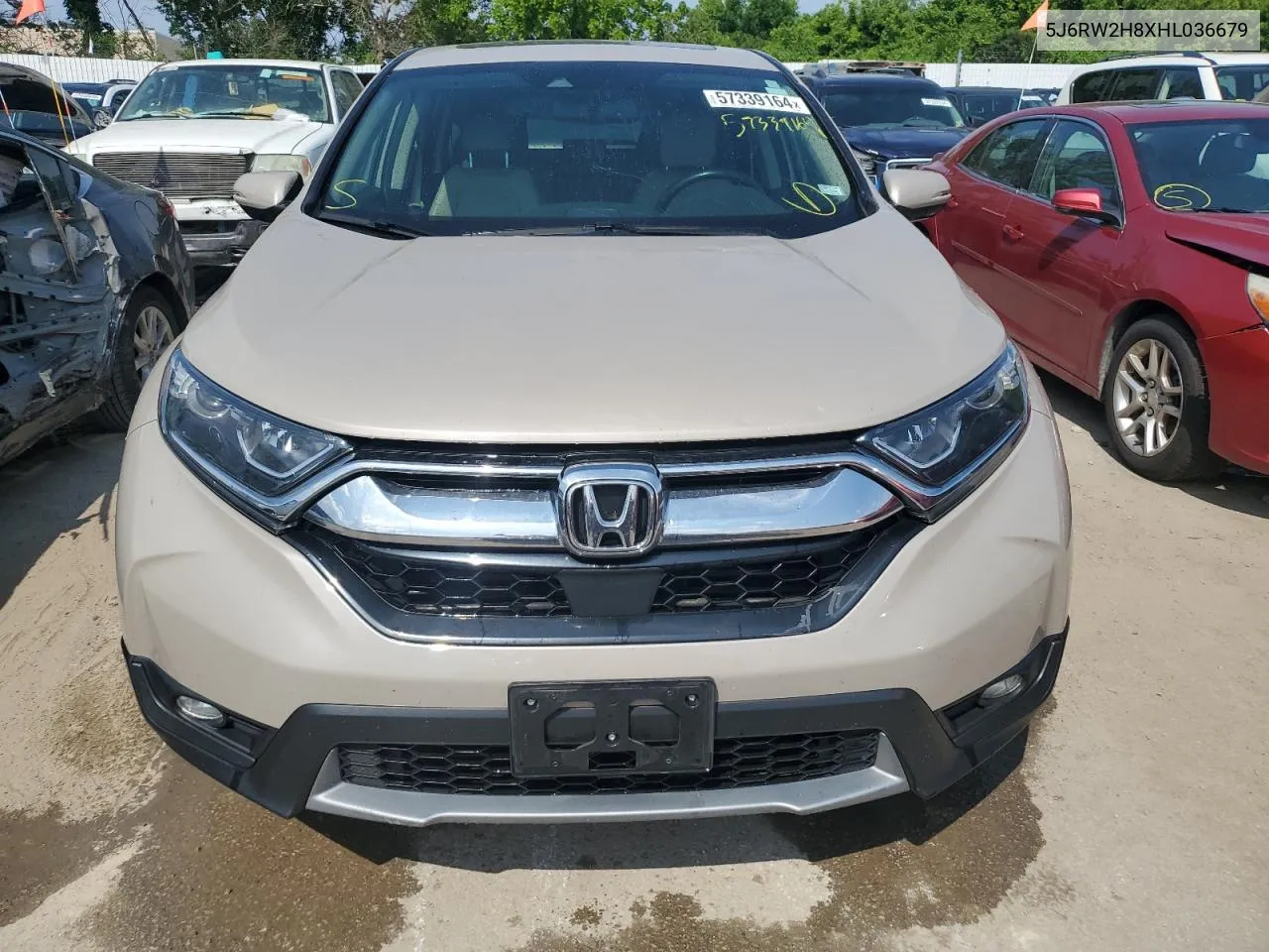 2017 Honda Cr-V Exl VIN: 5J6RW2H8XHL036679 Lot: 57339164