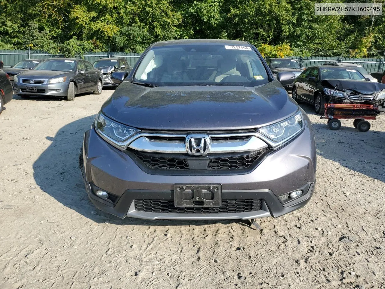 2019 Honda Cr-V Ex VIN: 2HKRW2H57KH609495 Lot: 71237464