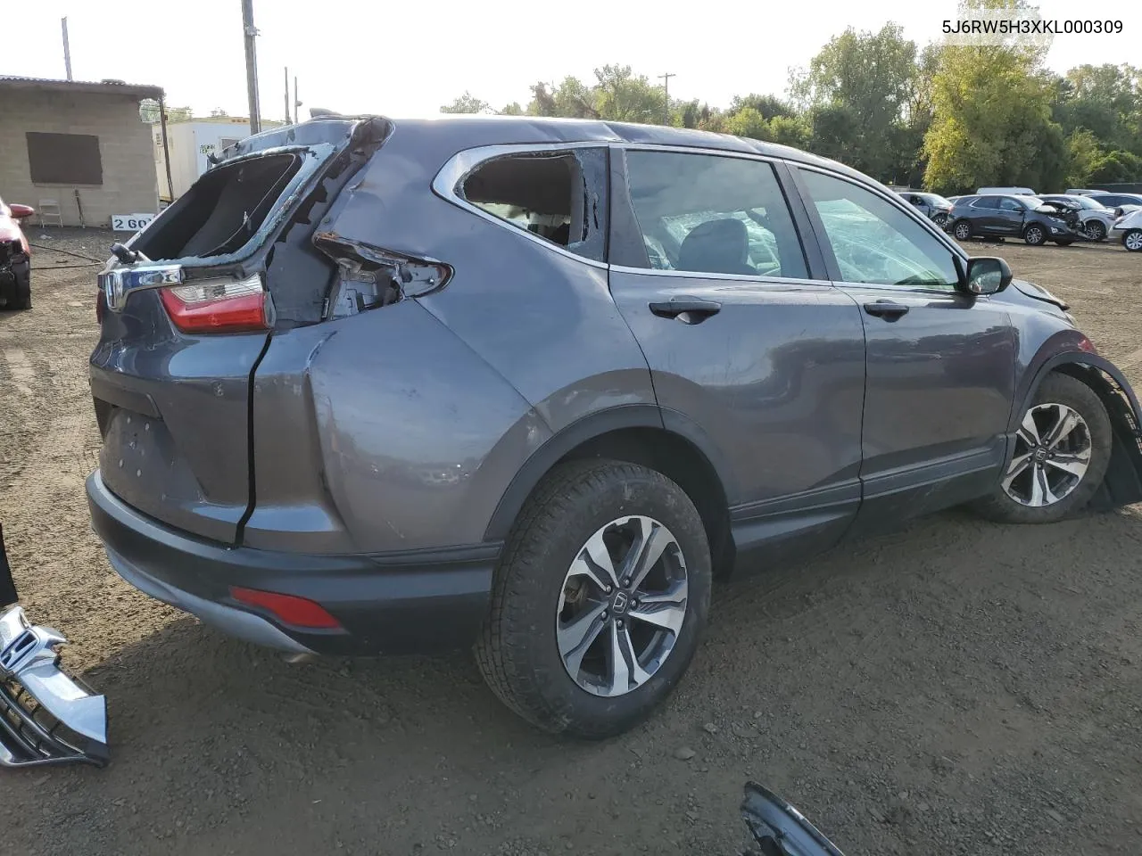 2019 Honda Cr-V Lx VIN: 5J6RW5H3XKL000309 Lot: 71883444