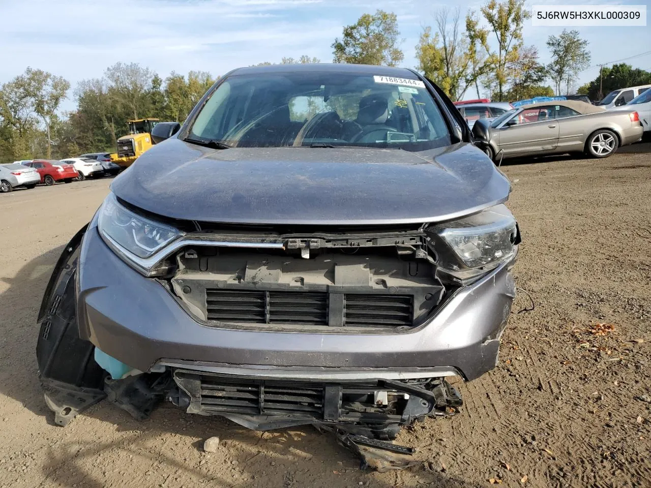 2019 Honda Cr-V Lx VIN: 5J6RW5H3XKL000309 Lot: 71883444