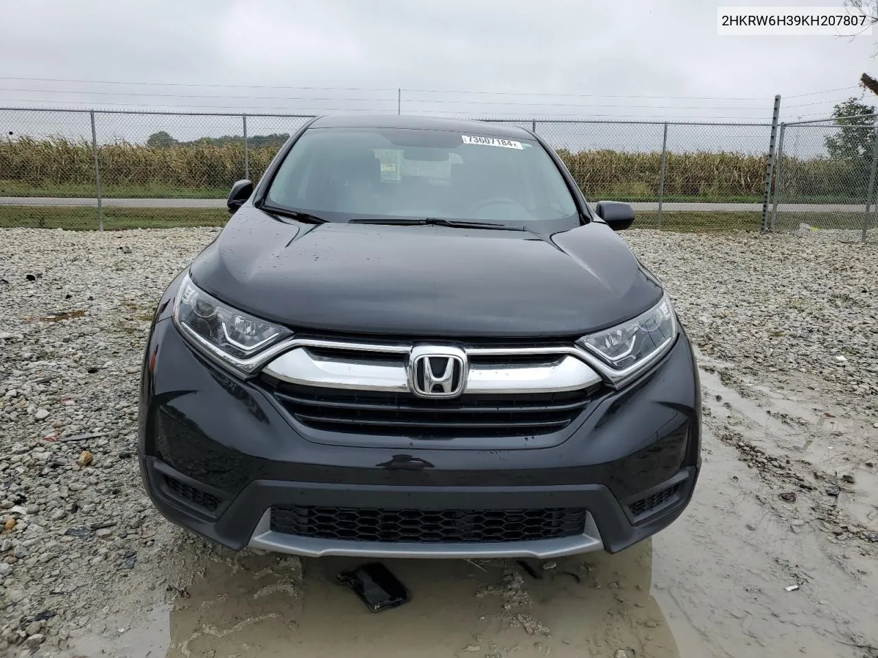 2019 Honda Cr-V Lx VIN: 2HKRW6H39KH207807 Lot: 73607184